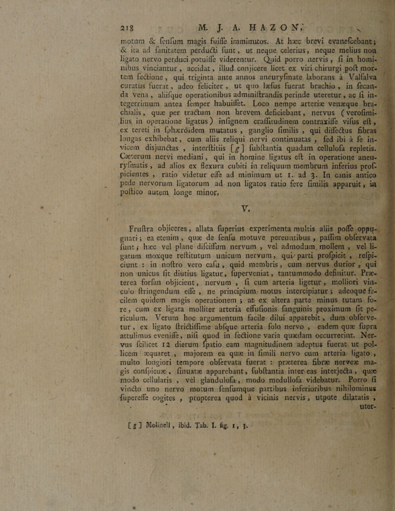 N motum & fenfum magis fuifle imminutos. At haec brevi evanefcebant j & ita ad fanitatem perdudi funt, ut neque celerius, neque melius non ligato nervo perduci potuiire viderentur. Quid porro nervis , fi in homi¬ nibus vinciantur , accidat, illud conjicere licet ex viri chirurgi poft mor¬ tem fedione , qui triginta ante annos aneuryfmate laborans a Valfalva curatus fuerat, adeo feliciter , ut quo laefus fuerat brachio , in fecan- da vena , aliifque operationibus adminiftrandis perinde uteretur, ac fi in¬ tegerrimum antea femper habuiflet. Loco nempe arteriae venaeque bra¬ chialis , quae per tradum non brevem deficiebant, nervus (verofimi- lius iu operatione ligatus ) infigtiem craflitudinem contraxifle vifus eft, ex tereti in fphacroidem mutatus , ganglio fimilis , qui difledus fibras longas exhibebat, cum aliis reliqui nervi continuatas , fed ibi a fe in¬ vicem disjundas , interftitiis [^] fubftantia quadam cellulofa repletis. Caeterum nervi mediani, qui in homine ligatus eft in operatione aneu- ry! matis , ad alios ex flexura cubiti in reliquum membrum inferius proft picientes , ratio videtur e fle ad minimum ut I. ad 3. In canis antico pede nervorum ligatorum ad non ligatos ratio fere fimilis apparuit, in poftico autem longe minor» V» Fruftra objiceres, allata fuperius experimenta multis aliis pofle oppu¬ gnari ; ea etenim , quae de fenfu motuve pereuntibus , pafiim obfervata funt j hxc vel plane difcifliim nervum , vel admodum mollem , vel li¬ gatum moxque reftitutum unicum nervum, qui' parti profpicit , refpi- ciunt : in noftro vero cafu , quid membris, cum nervus durior , qui noti unicus fit diutius ligatur, fuperveniat, tantummodo definitur. Prae¬ terea forfan objicient, nervum , fi cum arteria ligetur , molliori vin¬ culo ftringendum efle , ne principium motus intercipiatur ; adeoquC fa¬ cilem quidem magis operationem *, at ex altera parte minus tutam fo¬ re, cum ex ligata molliter arteria effufionis fanguinis proximum fit pe¬ riculum. Verum hoc argumentum facile dilui apparebit, dum obferve- tur , ex ligato ftridiflime abfque arteria folo nervo , eadem quae fupra attulimus eveniflfe, nifi quod in fedione varia quaedam occurrerint. Ner¬ vus fciiicet 12 dierum fpatio eam magnitudinem adeptus fuerat ut pol¬ licem aequaret , majorem ea quae in fimili nervo cum arteria ligato , multo longiori tempore obfervata fuerat : praeterea fibrae nerveae ma¬ gis confpicuae , finuatae apparebant, fubftantia inter eas interjeda , quae modo cellularis , vel glandulofa , modo medullofa videbatur. Porro fi vi odo uno nervo motum fenfumque partibus inferioribus nihilominus fuperefle cogites , propterea quod a vicinis nervis , utpote dilatatis , utor- [ g ] MolineU , ibid. Tab- I* fig. * > b