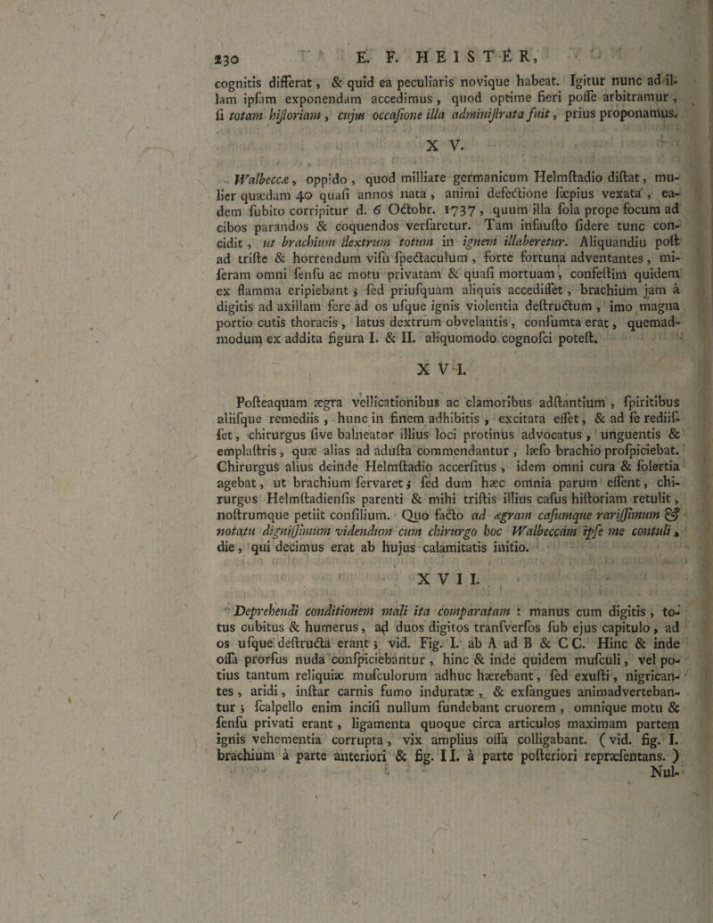 ■ r ■ E. F. HEIS T t R, cognitis differat, & quid ea peculiaris novique habeat. Igitur nunc ad il¬ lam ipfim exponendam accedimus , quod optime fieri polle arbitramur, fi totam hijloriam , cujus occajione illa admmijlrata fuit, prius proponamus. XV. ~ i1 *, i 'i t * 1 • 3 ” v K *' * *'' * ' 4 Walbecca, oppido , quod milliare germanicum Helmftadio diftat, mu¬ lier qusedam 40 quafi annos nata , animi defetftione fixpius vexata , ea¬ dem fu bito corripitur d. 6 Otftobr. 1737 , quum illa fola prope focum ad cibos parandos & coquendos verfaretur. Tam infaufto fidere tunc con¬ cidit , ut brachium dextrum totum in ignem illaberetur. Aliquandiu poft ad triffce & horrendum vifu fpe&aculum , forte fortuna adventantes, mi- feratn omni fenfu ac motu privatam & quafi mortuam, confeftim quidem ex flamma eripiebant} fed priufquam aliquis accediffet, brachium jam a digitis ad axillam fere ad os ufque ignis violentia deftru&um , imo magna portio cutis thoracis, latus dextrum obvelantis, confumta erat, quemad¬ modum ex addita figura I. & II. aliquomodo cognofci poteft. x v i. c - % Pofteaquam aegra vellicationibus ac clamoribus adftnntium , fpiritibus aliifque remediis , hunc in finem adhibitis , excitata effet, & ad fe rediif- fet, chirurgus five balneator illius loci protinus advocatus, unguentis & emplaftris , quae alias ad adulta commendantur , laelo brachio profpiciebat. Chirurgus alius deinde Helmftadio accerfitus , idem omni cura & folertia agebat, ut brachium fervaret ,* fed dum hsec omnia parum effent, chi¬ rurgus Helmftadienfis parenti & mihi triftis illius cafus hiftoriam retulit, noftrumque petiit confilium. Quo fatfto ad agram cafumque rarijjimum & notatu dignijjimum videndum cum chirurgo hoc Walbeccam ipfe me contuli * die, qui decimus erat ab hujus calamitatis initio. XVII. Deprehendi conditionem mali ita comparatam : manus cum digitis , to¬ tus cubitus & humerus, a^ duos digitos tranfverfos fub ejus capitulo, ad os ufque deftru&a erant y vid. Fig. I. ab A ad B & C C. Hinc & inde ofla prorfus nuda conlpiciebantur , hinc & inde quidem mufculi, vel po¬ tius tantum reliquiae mofculorum adhuc haerebant, fed exufti, nigrican¬ tes , aridi, inftar carnis fumo induratae , & exfangues animadverteban¬ tur i fcalpello enim incifi nullum fundebant cruorem , omnique motu & fenfu privati erant, ligamenta quoque circa articulos maximam partem ignis vehementia corrupta, vix amplius offa colligabant. (vid. fig. I. brachium a parte anteriori & fig. II. a parte pofteriori reprxfentans. ) Nui-