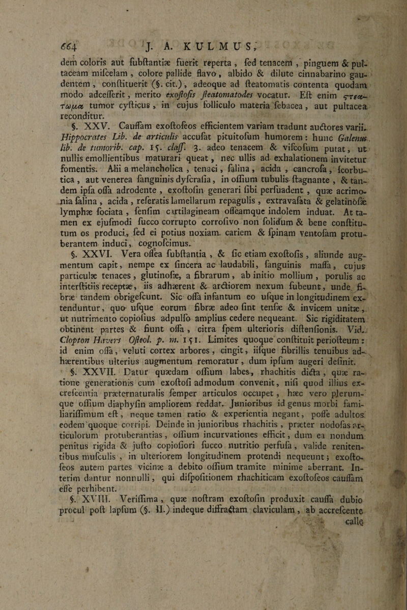 £6*4 J. A. k ulmus; dem coloris aut fubftantise fuerit reperta, fed tenacem , pinguem & pul- taceam mifcelam , colore pallide flavo, albido & dilute cinnabarino gau¬ dentem , conftituerit (§. cit.), adeoque ad fteatomatis contenta quodam modo adceflerit, merito exojlojis Jleatomatodes vocatur. Eft enim <?Tect- tiv^et, tumor cyfticus , in cujus folliculo materia febacea, aut pultacea reconditur. §. XXV. Caudam exoftofeos efficientem variam tradunt audores varii.. Hippocrates Lib. de articulis accufat pituitofum humorem : hunc Galenus lib. de tumorib. cap. i-f. clajf. 3. adeo tenacem & vifcofum putat, ut nullis emollientibus maturari queat, nec ullis ad exhalationem invitetur fomentis. Alii a melancholica , tenaci, falina , acida , cancrofa , fcorbu- tica , aut venerea fanguinis dyfcralia, in offium tubulis ftagnante , & tan¬ dem ipfa ofla adrodente , exoftofin generari fibi perfuadent , quae acrimo¬ nia falina , acida , referatis lamellarum repagulis , extravafata & gelatinofse lymphse fociata , fenfim cmilagineam ofleamque indolem induat. Atta¬ men ex ejufmodi fucco corrupto corrofivo non folidum & bene conftitu- tum os produci, fed ei potius noxiam, cariem & fpinam ventofam protu¬ berantem induci, cognofcimus. §. XXVI. Vera oflea fubftantia , & fic etiam exoftofis , aliunde aug¬ mentum capit, nempe ex (incera ac laudabili, fanguinis malfa, cujus particulae tenaces , glutinofae, a fibrarum, ab initio mollium , porulis ac interftitiis receptae, iis adhaerent & ardiorem nexum fubeunt, unde fi- bne tandem obrigefcunt. Sic ofla infantum eo ufque in longitudinem ex¬ tenduntur, qua ufque eorum fibrae adeo fint tenfte & invicem unitae, ut nutrimento copiofius adpulfo amplius cedere nequeant. Sic rigiditatem obtinent partes & fiunt olfa , citra fpem ulterioris diftenfionis. Vid. Clopton Havers Ofteol. p. m. I 51. Limites quoque conftituit periofteum: id enim ofla, veluti cortex arbores , cingit, iifque fibrillis tenuibus ad¬ haerentibus ulterius augmentum remoratur, dum ipfum augeri definit. §. XXVII. Datur quaedam offium labes , rhachitis dida , quae ra¬ tione generationis cum exoftofi admodum convenit, nifi quod illius ex- crefcentia praeternaturalis femper articulos occupet, haec vero pjerum- que offium diaphyfin ampliorem reddat. Junioribus id genus morbi fami- liariffimum eft, neque tamen ratio & experientia negant, pofle adultos eodem quoque corripi. Deinde in junioribus rhachitis , praeter uodofas ar¬ ticulorum protuberantias, offium incurvationes efficit, dum ea nondum penitus rigida & jufto copiofiori fucco nutritio perfufa , valide reniten- tibus mufculis , in ulteriorem longitudinem protendi nequeuntj exofto¬ feos autem partes vicinae a debito offium tramite minime aberrant. In- terim dantur nonnulli, qui difpofitionem rhachiticam exoftofeos cauflam effe perhibent. §. XVIII. Veriffima , quae noftram exoftofin produxit caufla dubio procul poft lapfum (§. II.) indeque diffradam claviculam, ab accrefcente • callQ