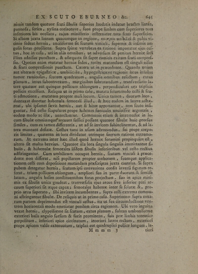 nimis tandem quatuor fcuti fibulis fuperius laudatis indatur braden lintea, pannofa , ferica , xylina coriaceave , fuos prope limbos cum fuperiores tum inferiores bis ocellata, cujus minirterio infternatur tota fcuti fu perficies. Si albam juxta lineam quacumque in regione, excepto umbilici & pubis vi- cinio fedeat hernia, anciliforme fit fcutum vinculi, fupernis & infimis an¬ gulis foras profiliens. Supra fpinae vertebras ea ratione imponatur ejus cef- tus , hoc in cafu , uti in aliis omnibus , ut adverfum fit penitus herniae fedi illius adnifus pundurn , & adaequata fit fuper ramicis exitum fcuti compref- fio. Quoties enim mutatur herniae fedes , toties mutandum eft cinguli nifus & fcuti comprellionis pundurn. Caetera ut in praecedente. Quando unum aut alterum epigaftricae , umbilicalis , hypogaftricaeve regionis latus infertae tumor ramicofus, fcutum quadratum, angulis omnibus reftdum , cxtus planum , intus fubconvexum , marginibus fubrotundum , tranfverfario la¬ tere quatuor aut quinque pollicum oblongum , perpendiculari ora triplicis pollicis excelfum. Reliqua ut in primo cafu , mutata folummodo certi & fcu¬ ti admotione , mutatum propter mali locum. Unica tamen , duarum loco , duntaxat donetur habenula femorali illud, & hacc eodem in latere adhae¬ reat, ubi ipfamet faevit hernia, aut fi binae apponantur , non fcuto infi¬ gantur, fed certo fcapulares prope habenas funiculis uncinifve argenteis , eodem modo ac illae , annedantur. Communis etiam & intermediae in lo¬ cum fibulae omniumque*arcuum fufnci polfunt quatuor fibulae huic prorftts fimiles , cum ea tamen differentia , ut ad fe invicem fubinclinentur, & ad la¬ tera maneant defixae. Ceflus tunc in ufum advocandus, fui prope corpo¬ ris limites , quaterna in lora dividatur utrinque fuorum ratione extremo¬ rum. At extrema inter haec illud quod herniae foramini propinquius eft , altero fit multo brevius. Quatuor illa lora fingula fingulis immittantur fi¬ bulis , & habenulae femorales iifdem fibulis inferioribus vel certo redius adftringantur. Cum umbilicum occupat hernia, fcutum vinculi a praece¬ dente non differat, nifi papillarem propter umbonem , fuamque applica¬ tionem certi cum depofitione mutandam pracfcriptas juxta cautelas. Si fupra pubem detegatur hernia , fcutum ipfi conveniens cordis inverfi figuram re¬ ferat, trium pollicum oblongum , ampliori fua in parte duorum & femiife latum, angulis bafim conflituentibus foras projedum , fuo in apice mini¬ mis ex fibulis unica gaudeat, tranverfalis ejus arcus five inferior pari ar¬ cuum fuperiori fit seque capax; femorales habenae inter fe folutac &, pro¬ prio arcu fuperato , fibi invicem incumbentes , fupra certi extrema commu¬ ni aftringantur fibulae. De reliquis ut in primo cafu. Superiorem fupra coxa- .rum partem deprimendus eft vinculi certus , ita ut fua circumdudione ven¬ trem horizontali modo emetiatur penilem circa regionem. Ubi vero inguina vexat hernia , clypeiforme fit fcutum , extus planum , fubtus umboniforme exteriori bafis angulo furfum & foris prominens , fuis prae limbis toreutice perpolitum , inferiori apice circinatum , interiori latere redum , exteriori prope apicem valde extenuatum , triplici aut quadruplici pollice longum , la-