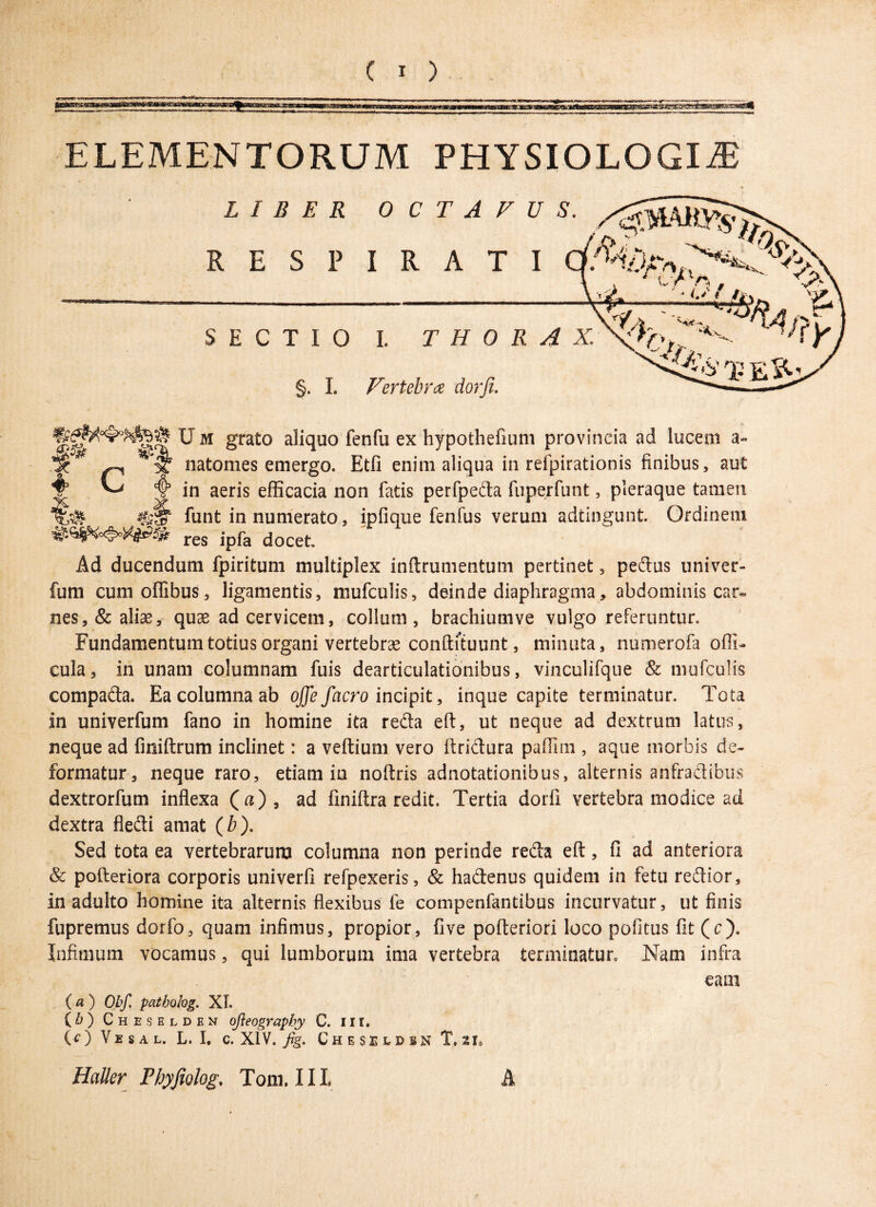 C i ) ELEMENTORUM PHYSIOLOGIAE U m grato aliquo fenfu ex hypothefium provincia ad lucem a- 1% ^ natomes emergo. Etfi enim aliqua in refpirationis finibus, aut 41 V> 4 in aeris efficacia non fatis perfpeda fuperfunt, pleraque tamen funt in numerato, ipfique fenfus verum adtingunt. Ordinem res jpfa docet Ad ducendum fpiritum multiplex inftrumentum pertinet, pedus univer- fum cumoffibus, ligamentis, mufculis, deinde diaphragma, abdominis car¬ nes, & aliae, quae ad cervicem, collum, brachiumve vulgo referuntur. Fundamentum totius organi vertebrae conftftuunt, minuta, numerofa offi- cula, in unam columnam fuis dearticulationibus, vinculifque & mufculis compada. Ea columna ab offefacro incipit, inque capite terminatur. Tota in univerfum fano in homine ita reda eft, ut neque ad dextrum latus, neque ad fmiftrum inclinet: a veftium vero ftridura paffirn , aque morbis de¬ formatur, neque raro, etiam in noftris adnotationibus, alternis anfractibus dextrorfum inflexa (a), ad finiftra redit. Tertia dorfi vertebra modice ad dextra fledi amat (b). Sed tota ea vertebrarum columna non perinde reda eft, fi ad anteriora & pofteriora corporis univerfi refpexeris, & hadenus quidem in fetu redior, in adulto homine ita alternis flexibus fe compenfantibus incurvatur, ut finis fupremus dorfo, quam infimus, propior, five pofteriori loco politus fit (c). Infimum vocamus, qui lumborum ima vertebra terminatur. Nam infra eam (« ) Obf. patbohg. XI. {b) Cheselden ofteography C. 111. (O Vesal. L. I. c. XIV. fig. Cheseldbn T, 21,