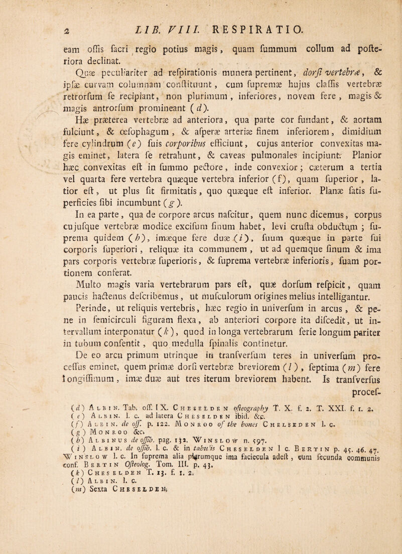 eam offis facri regio potius magis, quam funi muni collum ad pofte- riora declinat. Quae peculiariter ad refpirationis munera pertinent, dorfi vertebra, & jpfae curvam columnam conftituunfc, cum fupremae hujus cladis vertebrae retrorfum fe recipiant, non plurimum , inferiores, noveni fere, magis & magis antrorfum promineant (d). Hae praeterea vertebrae ad anteriora, qua parte cor fundant, & aortam fulciunt, & oefophagum , & afperae arteriae finem inferiorem, dimidium fere cylindrum (e) fuis corporibus efficiunt, cujus anterior convexitas ma¬ gis eminet, latera fe retrahunt, & caveas pulmonales incipiunt; Planior haec convexitas eft in fummo pedore, inde convexior; exterum a tertia vel quarta fere vertebra quaeque vertebra inferior (f), quam fuperior , la¬ tior eft, ut plus fit firmitatis, quo quaeque eft inferior. Planae fatis fu- perficies fibi incumbunt (g). In ea parte, qua de corpore arcus nafeitur, quem nunc dicemus, corpus cujufque vertebrae modice excifum finum habet, levi crufta obdudqgn ; fu» prema quidem (^), imaeque fere dux (i), fuuni quaeque in parte fui corporis fuperiori, reliquae ita communem , ut ad quemque finum & ima pars corporis vertebrae fuperioris, & fuprema vertebrae inferioris, fuam por¬ tionem conferat Multo magis varia vertebrarum pars eft, quae dorfum refpicit, quam paucis hadenus defcribenius, ut niufculorurti origines melius intelligantur. Perinde, ut reliquis vertebris, haec regio in univerfum in arcus, & pe¬ ne in femicirculi figuram flexa, ab anteriori corpore ita difcedit, ut in¬ tervallum interponatur (/r), quod in longa vertebrarum ferie longum pariter in tubum confentit, quo medulla fpinalis continetur. De eo arcu primum utri n que in tranfverfum teres in univerfum pro- ceflfus eminet, quem primae dorfii vertebrae breviorem (/) , feptima (m) fere loftgtflimum, imae dux aut tres iterum breviorem habent Is tranfverfus procet (d) A l b i n. Tabi off. I X. CheseIldk n 'ofieogniphy T. X, f. 2. T. XXI. f. i. s. ( e) Ale in. 1. c. ad latera Gheselden ibid. &c. (/) Albi n. de oJJ. p. 122. M o n r 0 0 0/ the bones Chelseden 1. g. ( g ) MONRGO &C*> (b) Albinus de ojjib. pag. 132. Winslov n. $97. ( i ) A l b 1 n .de ojjib. 1. c. & in tabidis Cheselden I c. B e R T r n p. 4$. 46. 47» Winslow 1. c. In fuprema alia plerumque ima faciecula adeft , mm fecunda communis conf. Bertin Oftcolog. Tom. III. p, 43, (l) Cheselden tij. f. 1. 2. (/) Albin. 1. c. (m) Sexta CheseideMj