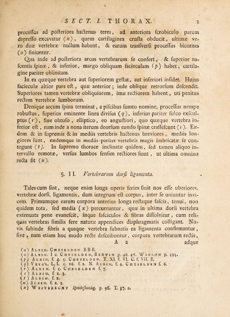 s 3 S E C T. L THORAX. proceflus ad pofteriora hadenus teres, ad anteriora fcrobiculo parum depreffo excavatur (») , quem cartilaginea crufta obducit, ultimae ve¬ ro duae vertebrae nullum habent, & earum tranfverfi proceflus bicornes (o) finiuntor. Qua inde ad pofteriora arcus vertebrarum fe confert, & fuperior na» fcentis fpinae, & inferior, margo obliquam facieculam (p) habet, cartila¬ gine pariter oblinitam. In ea quasque vertebra aut fuperiorem geftat, aut inferiori infidet. Hujus facieculae-altior pars eft , quae anterior; inde oblique retrorfum defcendit. Superiores tamen vertebrae obliquiorem, imae rediorem habent, uti penitus redam vertebrae lumborum. Denique arcum fpina terminat, a pifcibus fumto nomine, proceflus nempe robuftus, fuperius eminente linea divifus (g), inferius pariter fulco exfcul- ptus(r), fine obtufo , elliptico, eo anguftiori, quo quasque vertebra in¬ ferior eft , nam inde a nona iterum deorfum eundo fpinae craflefcunt (s). Eae¬ dem & in fupremis & in mediis vertebris hadenus breviores, mediis Ion- giores funt, eaedemque in mediis-pariter vertebris magis imbricatae fe con¬ tegunt (t). In fupremo thorace inclinatae quidem, fed tamen aliquo in¬ tervallo remotae, verfus lumbos fenfim rediores fiunt, ut ultima omnino reda fit (#). §. 11. V'ertebrarum dor fi ligamenta. Tales cum fint, neque enim longa operis feries finit nos effe uberiores, vertebrae dorfi, ligamentis, dum integrum eft corpus, inter fe uniuntur invi¬ cem. Primumque earum corpora anterius longa redaque fafcia, tenui, non quidem tota, fed media (x) percurruntur, quae in ultima dorfi vertebra extenuata pene evanefcit, inque fafciculos & fibras diffolvitur, cum reli¬ quas vertebras fimilis fere naturae appendices diaphragmatis colligant. No¬ vis fubinde fibris a quaque vertebra fubnatis ea ligamenta confirmantur, live, nam etiam hoc modo rede defcribuntur, corpora vertebrarum redis, A % adque ( n ) Albin. Cheselden. B B B. (o) Albin. 1 c. Chbselden, Bertin p. 46. 4 7. W I N L o w p. 5 9 5* (p) Albin. f. 4. 5. Cheselden. T. XI. t'. VI. C. f. VII. B. ( q) V e s a'l. L. 1. c. 16. f. 2. N. Albin, f, 4, Cheseldsn f, 6. (r ) Albin. f. Cheselden f. 7. ( s ) A L b 1 n. f. 2. 5. (O Albin. f, a. (u) Albin. £2. $.