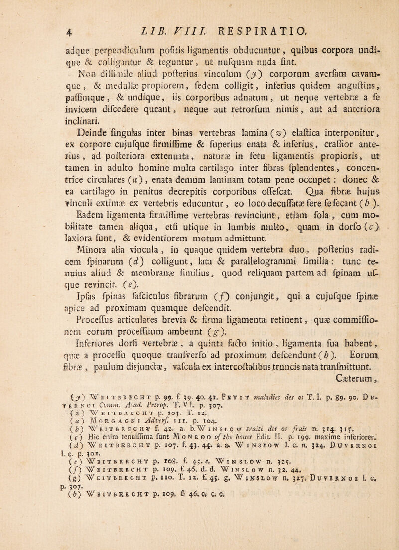 adque perpendiculum pofitis ligamentis obducuntur, quibus corpora undi¬ que & colligantur & teguntur, ut nufquam nuda fint. Non diffimile aliud pofterius vinculum (jy) corporum averfam cavam- que , & medullae propiorem, fedem colligit, inferius quidem anguftius, paffimque, & undique, iis corporibus adnatum, ut neque vertebrae a fe invicem difcedere queant, neque aut retrorfum nimis, aut ad anteriora inclinari. Deinde fingutas inter binas vertebras lamina (z) elaftica interponitur, ex corpore cujufque firmifEme & fuperius enata & inferius, craffior ante¬ rius, ad pofteriora extenuata, naturae in fetu ligamentis propioris, ut tamen in adulto homine multa cartilago inter fibras fplendentes, concen¬ trice circulares (a), enata demum laminam totam pene occupet : donec & ea cartilago in penitus decrepitis corporibus oflfefcat. Qua fibrae hujus vinculi extimae ex vertebris educuntur, eo loco decufifatae fere fe fecant (b )» Eadem ligamenta fimiiffime vertebras revinciunt, etiam fola , cum mo¬ bilitate tamen aliqua, etfi utique in lumbis multo, quam in clorfo (c) laxiora funt, & evidentiorem motum admittunt Minora alia vincula, in quaque quidem vertebra duo, pofterius radi¬ cem fpinarum (d) colligunt, lata & parallelogrammi fimiiia : tunc te¬ nuius aliud & membranae fhnilius, quod reliquam partem ad fpinam uf« que revincit (e). Ipfas fpinas fafciculus fibrarum (/) conjungit, qui a cujufque fpince apice ad proximam quamque defeendi-t. Proceffus articulares brevia & firma ligamenta retinent, quae commiflio- nem eorum procefluum ambeunt (g). Inferiores dorfi vertebrae, a quinta fafto initio, ligamenta fua habent, quae a procedi] quoque tranfverfo ad proximum defeendunt (h ). Eorum fibrae, paulum disjunctae, vafculaex intercoftalibus truncis natatranfmittunt. Caeterum, (y) Wiitbbecht p. 99. f. 99. 40. 41. Petit maladies des w T. 1. p, 89. 90. D ir- Ternoi Comm. Arad. Pctrop. T. V T. p. 507. ( 3 ) f EITERECHT p. . T. 12. (a) Morgagni Advcrf. m. p. 104, ( b ) W e 1 t b r e c h v f. 42. a. b. W 1 n s l 0 w trazte des os frais n. 9 T4. 91 7, (c) Hic enim tenuiffima fant Monroo 0/the bones Edit. II. p. 199. maxime inferiores» ( d ) W e i t b r e c h t p. 107. f. 49. 44. a. a. Winslow L c. n. 924. Duverki 1. e. p. ?o2. (c) Weitbrkcht p. rog. f. 49. e. Winslow n. 929. (/) W E 1 T B R E G H T p. lOp,, f. 46. d. d. W 1 N S L 0 W n. 9 2. 44, (g) ‘WeiTBRE CHT p. IIO. T. 12. f. 4J. g, W INSLOW n. 927, Duvern 02 1. G* p. 907. (b) W E I T B n E C H T p. 109. £-46. Ci Q, C»