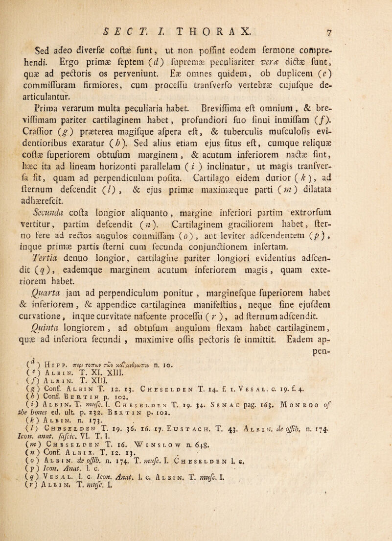 Sed adeo diverfse coftas funt, ut non poffint eodem fermone compre¬ hendi. Ergo primae feptem (d) fupremae peculiariter ver ce didae funt, quas ad pedoris os perveniunt. Eas omnes quidem, ob duplicem (e) commiffuram firmiores, cum proceffu tranfverfo vertebrae cujufque de- articulantur. Prima verarum multa peculiaria habet. Breviffima eft omnium , & bre- viffimam pariter cartilaginem habet, profundiori fuo finui inmiffam (/). Craffior (g) praeterea magifque afpera eft, & tuberculis mufculofis evi- dentioribus exaratur (/>). Sed alius etiam ejus fitus eft, cumque reliquae coflas fuperiorem obtufum marginem, & acutum inferiorem nadae fint, haec ita ad lineam horizonti parallelam ( i ) inclinatur, ut magis tranfver- fa iit, quam ad perpendiculum polita. Cartilago eidem durior ( k ), ad fternum defcendit (/) , & ejus primae maximaeque parti (m) dilatata adhaerefcit. Secunda cofta longior aliquanto, margine inferiori partim extrorfum vertitur, partim defcendit (n). Cartilaginem graciliorem habet, fter- no fere ad redas angulos comniffani (o), aut leviter adfcendentem (/>), inqtie primae partis fterni cum fecunda conjundionem infertam. Tertia denuo longior, cartilagine pariter longiori evidentius adfcen- dit(#), eademque marginem acutum inferiorem magis, quam exte¬ riorem habet. Quarta jam ad perpendiculum ponitur , marginefque fuperiorem habet & inferiorem, & appendice cartilaginea manifeftius, neque fine ejufdem curvatione, inque curvitate nafcente proceffu ( r ), ad fternum adfcendit. Quinta longiorem, ad obtufum angulum flexam habet cartilaginem, quae ad inferiora fecundi , maximive ofiis pedoris fe inmittit. Eadem ap¬ peti» ( ) H I P P. TTtpi TQ7TUV TOJV XuImvQpCCTTGV II. IO. (f) Albih. T. XI. XIII. (/) Alb in. T. XIII. (g ) Conf. Albin T. is. 13. Cheselden X 14. £ 1. Vesal. c. 19. £4. (b) Conf. Bertin p. 102. ( i ) A l b 1 n. T. mufc. I. Chbsblden T. 19. 54- S r n a c pag. 163. M 0 isr b. o 0 of tJje bones ed. ult. p. 252. Bertin p. 102. (£) Albin. n. 173. (/ ; Chbselden T. 19. 36. 16. 17. E u s t ac h. T. 43. Albin. de ojjib, n. 174. Icon. anat. fafcic. VI. T. I. (m) Cheselden T. 16. Winslow n. 648. (n) Conf. A lb 1 x. T. 12. 13. ( 0 ) Albin. de offib. n. 174. T. mufc. I. Cheselden L c. ( p ) Icon. Anat. 1. c. ( # ) V e s a l. 1. c. Icon. Anat. 1. c. Albin. T. mufc, I. ( r ) Albin. T. mufc. I. i \