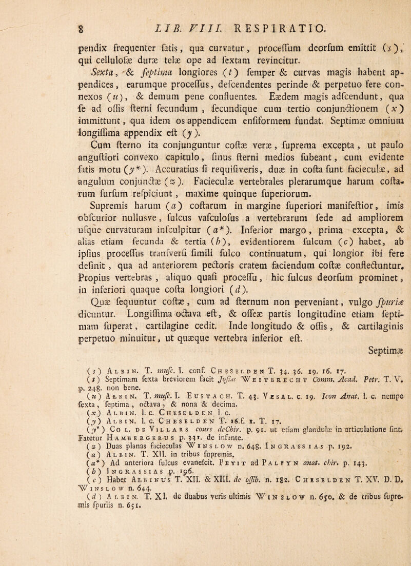 pendix Frequenter fatis, qua curvatur, proceftum deorfum emittit (5), qui cellulofae durae telae ope ad fextatn revincitur. Sexta, feptima longiores (£) fernper & curvas magis habent ap¬ pendices, earumque proceffus, defcendentes perinde & perpetuo fere con¬ nexos («), & demum pene confluentes. Eaedem magis adfcendunt, qua fe ad oflis fterni fecundum , fecundique cum tertio conjunctionem (x) immittunt, qua idem os appendicem enfiformem fundat. Septimae omnium longiflima appendix eft (y ). Cum fterno ita conjunguntur codae verae, fuprema excepta , ut paulo anguftiori convexo capitulo, finus fterni medios fubeant, cum evidente latis motu(jy*), Accuratius fi requifiveris, duae in cofta funt facieculae, ad angulum conjundae (s). Facieculae vertebrales plerarumque harum coda¬ rum fur funi refpiciunt , maxime quinque fuperiorum. Supremis harum (a) codarum in margine fuperiori manifeftior, imis obfcurior nuliusve, fulcus vafculofus a vertebrarum fede ad ampliorem ufque curvaturam infculpitur (a*). Inferior margo, prima excepta, & alias etiam fecunda & tertia (/?), evidentiorem fulcum (c) habet, ab ipfius proceflus tranfverfi fimili fulco continuatum, qui longior ibi fere definit , qua ad anteriorem pedoris cratem faciendum codae confleduntur* Propius vertebras , aliquo quafi procedu, hic fulcus deorfum prominet, in inferiori quaque cofta longiori (d). Quae fequuntur coftse, cura ad fternum non perveniant, vulgo fpurice dicuntur. Longiflima odava eft, & ofleae partis longitudine etiam fepti- mam fuperat, cartilagine cedit. Inde longitudo & oflis, & cartilaginis perpetuo minuitur, ut quaeque vertebra inferior eft. Septinxe (s ) Albin. T. rmifc. T. conf. CheSelden T. $4. $6. 19- I7* (t) Septimam fexta breviorem facit JoJias Weitbrecht Comm. Acad. Vetr. T. V. jp, 248. non bene. (w) Albin. T. mitfc. I. Eustach. T. 45. Y z s a l. c. 19. Icon Anat. 1. c. nempe fexta, feptima , oCtava , & nona & decima. (#) Albin. 1. c. Chkselden 1 c. (y ) Albin. 1. c. Cheselden T. 16.f. 1. T. 17. (j*) Col. de Villars couys deChir. p. 91. ut etiam glandula in articulatione fintv Fatetur Hambugerus p. n1- de infante. ( 2 ) Duas planas facieculas Winslow n. 648. Ingrass i a s p. 192. (a) Albin. T. XII. in tribus fupremis. («*) Ad anteriora fulcus evaneicit. Petit ad Palfyn anat, cbir. p. 145. (b) Ingrassias p. 1 p6. (c) Habet Albinus T. XII. ScWW.de ojjib. n. 182. Cheselden T. XV. D. D. W inslow n. 644. (d ) Albin. T. XI. de duabus veris ultimis Winslov n. 6p, & de tribus fupre- m\s fpuriis n, 651,