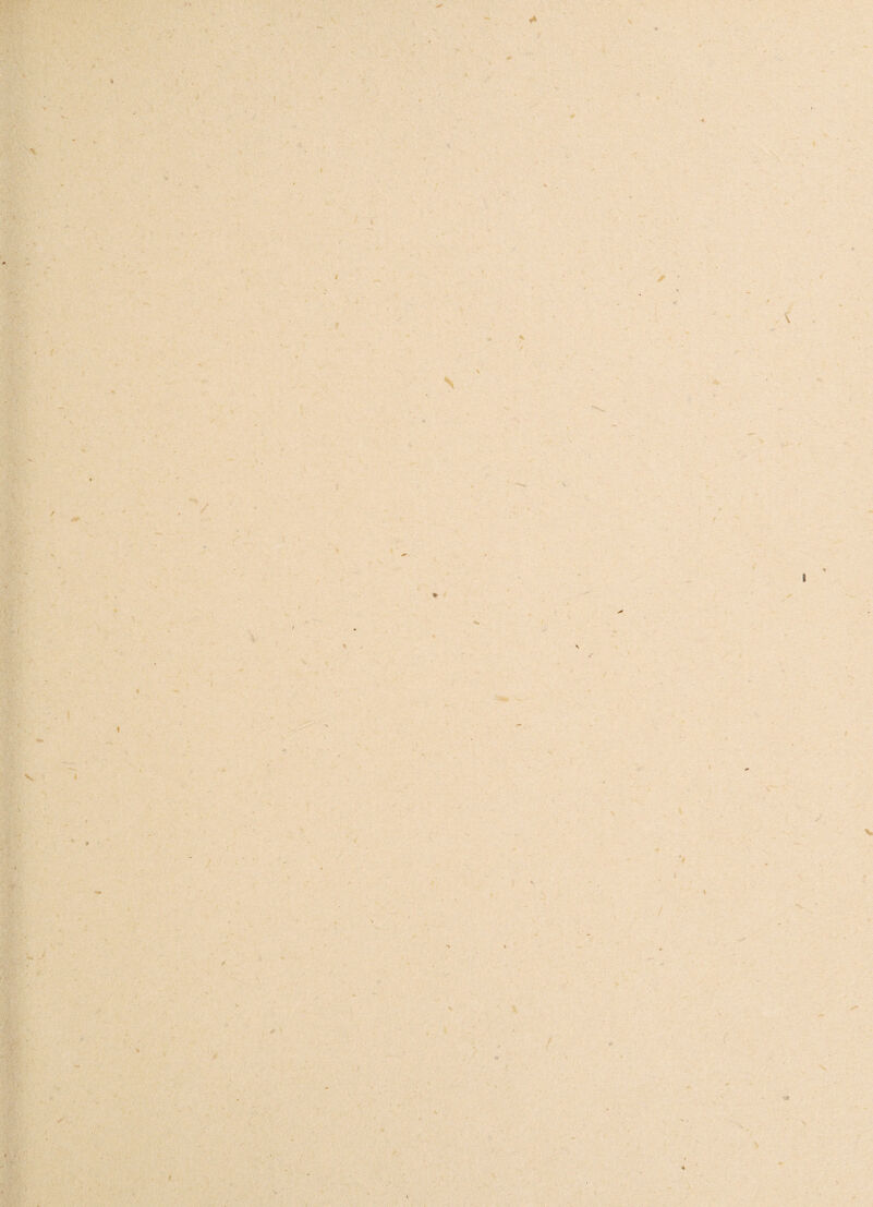 »* ■« \ i ■<* * 1 % \ / \ t ' s * / I * 1 f  . i V V