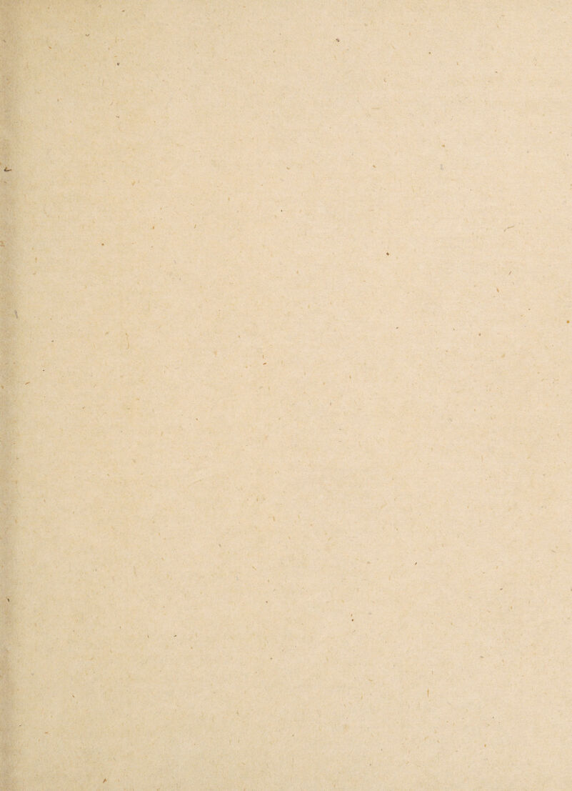 •/ ' V • ■ • • . i • • i SjjftsL-j! * - • . , 4 l V * 'i / ‘ ' , ? • V -' • . ' x - * * / 1 -V > r * ■ - ’ . ■< » i: . ‘ _ » ,* ' ' * -  * • . • ■ ■ ■v ** t v* * y->* ■». , \ » • « i * . - t *'• - . f wM~. / /. J ■ \ * v .. v / ; ! y. ' i + t BBsw1^ ‘KF > * i » » * v ' \ ; • ' . • * V * . . i '* ' * ■ i. V , • ' / , >• r v # A . • - i t- A