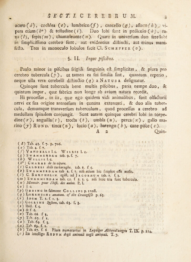 acaro(rf)5 cochlea (0> lumbrico(/)3 cancello (g), aflaco/i), .‘vi¬ pera etiam (/;*) & teftudine(i). Duo lobi funt in pediculo ( k) , ra¬ na (7), fepiafw), chamaeleonte(«), Quare in univerfum duo fere lobi in fimpliciflimo cerebro funt, aut evidentius diftincti, aut qiinus mani- fefto. Tres in monoculo lobulos iucit Ch S chjeffer (o). §. II. Inque pifcibus. Paulo minor in pifcibus frigidi fenguinis e(l fimplicitas , & plura pro cerebro tubercula (p ), ut tamen ea fui fimilia fint, quantum repedo s neque ulla vera cerebelli diftindio (q) a Natura deflgnatur. Quinque funt tubercula bene multis pifcibus, paria nempe duo, & quintum impar, quae fabrica non longe ab avium natura recedit. Pii procellas, in iis, quae ego quidem vidi animalibus, funt olfaftorii nervi ex fua origine antrorfum in conum extenuati, & duo alia tuber¬ cula, demumque transverfum tuberculum, quod procefius a cerebro ad medullam fpinalem conjungit. Sunt autem quinque cerebri lobi in torpe- dine(r), anguillaQ), troda (£)> umbla(a), perca(x), gallo ma¬ rino (jv)Rond. tinca ( 3 ), lucio (a), harengo ( b ), cane pilee ( c ). A z Quin- ( d) Tab. 4;. f. 7, p. 706. { O Tab. 4. f. 7. (/) Vandelli Lc. W n, 11 s 1. c, • (g) SWAMMRRDAM tab. 9* f. 7. {h) WillisLc. { b* ) Charas de /a vipere. (1) Caldfsi delle tartarugbe. tab. 2. f. f. (k) S w a m m e r d a m tab 2. f. 7. nili etiam hic flmplex elTe malis* (/) C. Barthoun. epift. ad Jacobaium tab. ?. f. ( m ) S vv a m m e h d a m tab. 5i. f 2. 5. nifi huic tria funt tubercula. ( n ) Memoir. pour iybiji. des auim, P. I. ( 0 ) 1 c. f p) G e r 1 n g in falmone Collins p. i toS. (<?) Lorknzini anatom. of tbe Crampfifb p. 6?, (O Idem T. i. f. 1. (s) Collins Syjiem, tab. 6\. f. (Olbid. f.s. ( « ) & f 6. (x) Tab. 66 f (y) Tab 67. f r. (2) Tab. 69. f. (a) Tab, 69. f. 1. , ( k (/; ) Tab. 67. f. 6 Plura numerantur in Leipziger Abhmdlmgm T. IX. p. 214, {c) Ita intelligo Redum dvgii animali negli animalis T, 7*