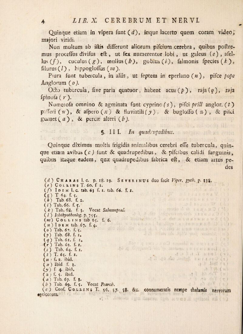 Quinque etiam in vipera funt(rf), inque lacerto quem coram videoJ* majori viridi. Non multum ab iftis differunt aliorum pifcium cerebra , quibus polire¬ mus proceffus divifus eft, ut fex numerentur lobi, ut galeus (e) , afel- cuculus (g), nnillus (/Q, gobius (i), falmonis fpecies(^), filurus(/) , hippogloffus (;?/). Prnra funt tubeicula , in aliis, ut feptem in eperlano(«)> pifce pope Anglorum (o). Odo tubercula, live paria quatuor, habent acus(/>), raja (q), raja fpinofa ( r ). Numerofa omnino & agminata funt cyprino (r), pifci prill anglor. (£) P’; fleri («), & afpero(x) & fluviatili(y) , & bugloffo ( &) , & pilei gumec ( a ) , & percae alteri §. II I. In quadrupedibus. Quinque diximus multis frigidis animalibus cerebri e(Te tubercula, quin¬ que etiam avibus Qc ) iunt & quadrupedibus, & pifcibus calidi (anguinis, quibus itaque eadem, quae quadrupedibus iafarica eft, & etiam artus pe- des (d) Charas I. d. p. ig. 19. Severinus duo facit Viper. pyth, p, sjg, (f ) C O L U N s T, 60. f I. (/l Idem I. c. tab. f. 1. tab. 66. f. 1, (g) T 64. f. (A) Tab 68. f. 2. (i) Tab.66. f. f. ( k ) Tab. 6g. f. $. Vocat Salmonpeaf, ( l ) lcbtbyotbeolog. p, 7 5 %. (m) C o l l 1 n s tab 65, f. 6, ( n) I d s m tab. 67. f. 4, (0) Tab. 6?. f. (р) Tab. 68. f. 1* ( q ) Tab. 61. f. 1, (r ) Tab. 62. f. 1. (/ ) Tab. 64. f. s, (O T. 65. f. s, (u ) f* 2. ibici ( # ) Ibid f. f * O) f 4- ibid. { 3 ; f. s* ibid. (а) Tab. 67. f. f® (б) Tab. 69. f, Vocat Pcarcb. (с) Conf. C 0 l i 1 n s T« 56. 57. $8. &e* connumeratis nempe thalamis nervorum •pticorum.