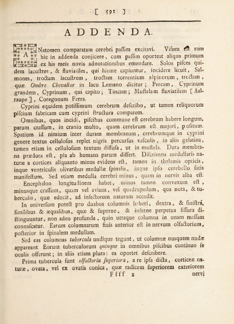 Vi fu in tfl eam rcrxrsErs* , . _ . h**'**£!4 Natomen comparatam cerebri paiiim excitavi. *J A hic in addenda conjicere, cum paflini oporteat aliqua primum sraSrsi ex his meis novis adnotationibus emendare. Solos pifces qui¬ dem lacuftres, & fluviatiles, qui hieme capiuntur, incidere licuit. Sal¬ mones, trodam lacuftrem , trodam torrentium alpinorum , trcdam , quae Ombre Chevalier in lacu Lemano dicitur ; Percam, Cyprinum grandem, Cyprinum, qui capito; Tincam; Muftelam fluviatilem [ Aal- raupe ] , Coregonum Ferra. Cyprini equidem potiflimum cerebrum defcribo, ut tamen reliquorum pifcium fabricam cum cyprini ftrudura comparem. Omnibus, quos incidi, pifcibus commune eft cerebrum habere longum, parum craflum, in cranio multo, quam cerebrum eft majori, pofitum. Spatium id nimium inter duram membranam, cerebrumque in cyprini genere textus cellulofus replet nigris percurfus vafculis, in aliis gelatina, tamen etiam in cellulofum textum diffufa, ut in muftela. Dura membra¬ na praedura eft, pia ab humana parum differt. Difcrimen medullaris na- turse a corticea aliquanto minus evidens eft, tamen in thalamis opticis, inque ventriculis olivaribus medullae fpinalis, inque ipfo cerebello fatis manifeftum. Sed etiam medulla cerebri minus, quam in nervis alba eft. Encephalon longitudinem habet, minus tamen convexum eft , minusque craflum, quam vel avium, vel quadrupedum, qua nota, & tu¬ berculis, quae educit, ad infedorurn naturam accedit. In univerfum poteft pro duabus columnis h beri, dextra, & finiftra, fimilibus & squalibus, quae & fuperne, & inferne perpetua fiffura di- ftinguuntur, non adeo profunda , quin utraque columna in unam maffatn connafcatur. Earum columnarum finis anterior eft in nervum olfadorium, pofterior in fpinalem medullam. Sed eas columnas tubercula undique tegunt, ut columnae nusquam nudae appareant Eorum tuberculorum quinque in omnibus pifcibus continuo fe oculis offerunt; in aliis etiam plura: ea oportet defcribere. Prima tubercula funt olfattoria fuperiora, a re ipfa di&a, cortices na¬ turae , ovata, Yel ex ovatis conica, quae radicem fuperiorem exteriorem F f f f % «ervi