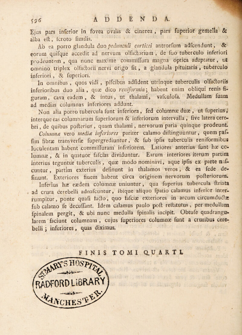 ?5<j ADDENDA. Ejus pars inferior in fovea ovalis & cinerea , pars fuperior gemella & alba eit, fcroto fimilis. Ab ea porro glandula duo pedunculi corticei antrorfum adfcendunt, & eorum quifque accedit ad nervum olfactorium , de luo tuberculo inferiori prodeuntem , qua nunc maxime comnmTura magna optica adaptatur, ut omnino triplex olfadorii nervi origo fit, a glandula pituitaria , tuberculo inferiori , & fuperion. ; In omnibus, quos vidi , pifeibus adfident utrinque tuberculis olfadorii* inferioribus duo alia, quae dico reniformia; habent enim obliqui renis fi¬ guram, cava eadem , & intus, ut thalami, vafculofa. Medullam luam ad medias columnas inferiores addunt. Non alia porro tubercula funt inferiora, fed columnae duae, ut fuperius, interqueeas columnarum fuperiorum & inferiorum intervalla , five latera cere¬ bri , de quibus polterius, quam thalami, nervorum paria quinque prodeunt. Columna vero media inferiores pariter calamo diltinguuntur, quem paf- fim fibrae transverfe fupergrediuntur, & fub ipfis tuberculis reniformibus luculentam habent commiflnram' inferiorem. Latiores anterius funt hae co¬ lumnae , & in quatuor fafeias dividuntur. Earum interiores iterum partim interius teguntur tuberculis, quae modo nominavi, aque ipfis ex parte naf- cuntur, partim exterius delinunt in thalamos veros, & ea fede de¬ linunt. Exteriores finem habent circa originem nervorum pofteriorum. Inferius hae eaedem columnae uniuntur, qua fuperius tubercula ftriata , ad crura Cerebelli adnafeuntur, ibique aliquo fpatio calamus inferior inter¬ rumpitur, ponte quali iado, quo fafeiae exteriores in arcum circumdudae fub calamo fe decuffant. Idem calamus paulo poft reilitutus, per medullam fpinaletn pergit, & ubi nunc medulla fpinalis incipit. Obtufe quadrangu¬ larem faciunt columnam , cujus lupenores columnae funt a cruribus cere¬ belli j inferiores, quas diximus. FINIS TOMI Q.U ARTI i • ,.j j