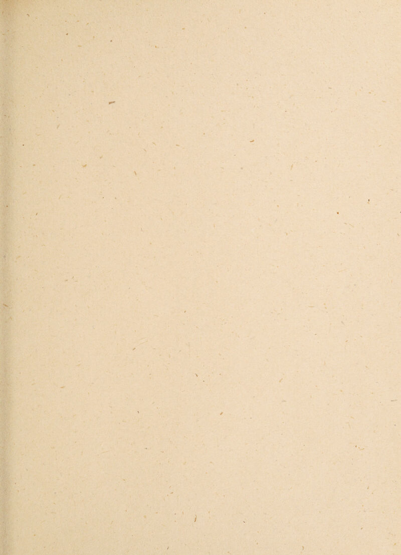 * 4 % s \ 3 i • \ \ % I t * S 4. .«» * ■ •rr V / / v V I / * i \ /* ■> 4 / / -4 S / « i / - * ) I * \ i / -. * )