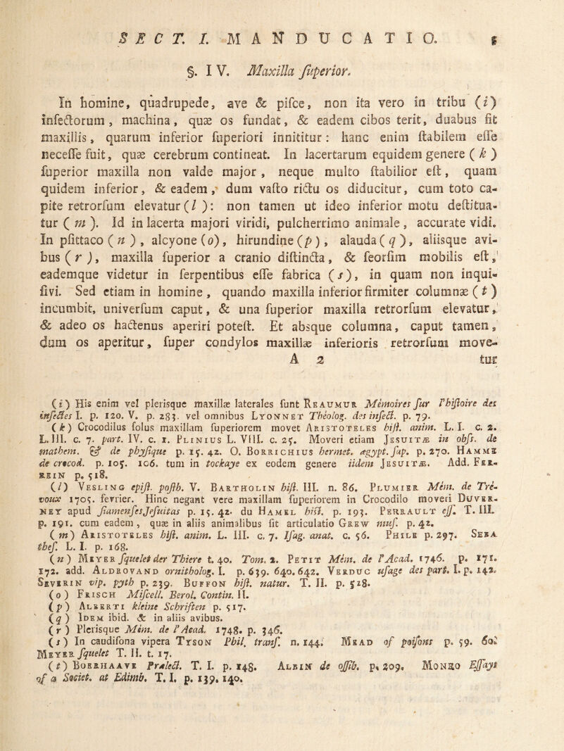 §. I V. Maxilla Juperior. ] In homine, quadrupede, ave & pifce, non ita vero io tribu (i) mfeftorom , machina, quse os fundat, & eadem cibos terit, duabus fit maxillis, quarum inferior fiiperiori innititur: hanc enim flabilem eflc neceffefoit, quas cerebrum contineat. In lacertarum equidem genere ( ^ ) faperior maxilla non valde major , neque multo flabilior eft, quam quidem inferior, Sc eadem, dum vafto ridlu os diducitur, cum toto ca¬ pite retrorfum elevatur (/): non tamen ut ideo inferior motu deftitua- tur ( m ). Id in lacerta majori viridi, pulcherrimo animale, accurate vidio In pfittaco ( ;/) , alcyone (o), hirundine (p), alauda ( <7), sliisque avi¬ bus (r j, maxilla fuperior a cranio diftinda, & feorfim mobilis eft eademque videtur in ferpentibus efle fabrica (x), in quam non inqui- fivi. ~Sed etiam in homine , quando maxilla inferior firmiter columnse (t) incumbit, univerfum caput, & una fuperior maxilla retrorfum elevator,* & adeo os hadenus aperiri potefl. Et absque columna, caput tamen,' dom os aperitur, fuper condylos maxillae inferioris retrorfum move- A 2 tur (1) His enim vel plerisque maxillte laterales funt Reaumur Memoirg^ fur rhtjloire dei infeifesl. p- i2o. V, p. zg;. vel omnibus Lyonnet Thioiog. des infeB. p. 79. ik) Crocodilus folus maxillam fuperiorem movet Aristoteles hij}. anim. L. I. c. 2. / L. 111. c. 7. yart. IV. c. I. Plinius L. VllI. c. 2^. Moveri etiam JssuiT^ in obfs. de matbem. ^ de phyfique p. ly. 4Z. O. Borrichius hermst, ^egypt.fap, p. 270. Hamme d€ crecod. p. loy. 106. tum in tockaye ex eodem genere Udem Jesuit-ss. Add. Fer- asiN p, 91B. (/) Vesling epiji. poflb, V. Bartholin hijl, III. n. 26, Plumier Mhn. de Tre^ voux 170;. fevrier. Hinc negant vere maxillam fuperiorem in Crocodilo moveri Duver- KEY apud JiamenfesJefmtas p. 1^.42. du Hamel hisi, p. 19^. Petirault cjf T. HI. p. 191. cum eadem, quae in aliis animalibus fit articulatio Grew muf. p. 42. ( m) Aristoteles hiji, anim, L. lil. c. 7. Ifag. anat, c. $6. Phile p. 297. Sesa thef L. I. p. 168. (w) Miy E-R fqueki der Tbiere t. 40. Tom. %, Petit Mem, de VAcad, 174^* P« 172. add. Aldrovand ornitholog, p. 6^9. 640,642, Vkrduc ufage des par$<,\*p, 1^%» Sevirin vip, pyth p. 259. Buffon hiji, natur, T. JL p. 528» (0) Frisch MifcelL Berol, Qontin. W. (p) Aleerti k/eine Sebriften p. (^) Idem ibid. dc in aliis avibus. (r ) Plerisque Mim. de TAead. 1748. p. 1^6, (j) In caudifona vipera Tyson Bbil^ tranf n. 144, Mead of p&ifom p. $9. Meyer fquelet T. Ii. t. 17. (^) Bosrhaave frMeB, T. I. p. 14$. Albin de ojfih, p^ 309. Moneo qf a Bmet, at Edimb, T, I. p. 119,140,