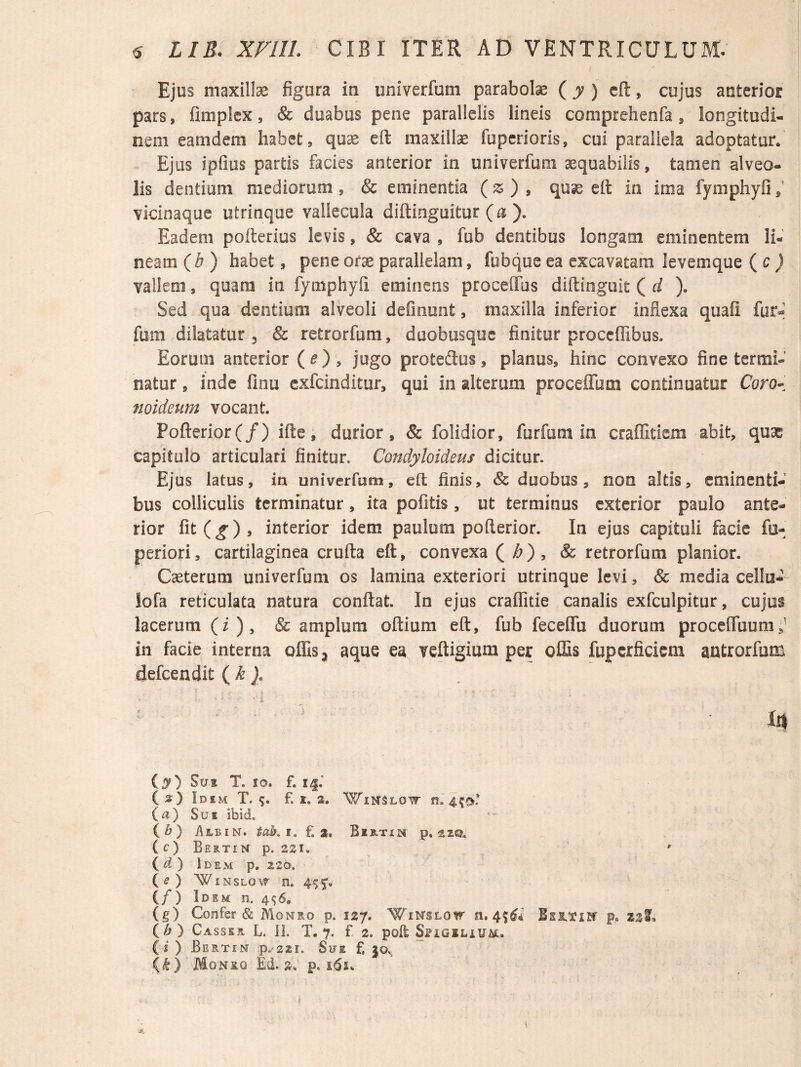 Ejus maxilla figura in univerfum parabolas {y ) cft, cujus anterior pars, fimplex, & duabus pene parallelis lineis comprehenfa , longitudi¬ nem eamdcm habet, quae eft maxillae fupcrioris, cui parallela adoptatur. Ejus ipfius partis facies anterior in univerfum aequabilis, tamen alveo¬ lis dentium mediorum, & eminentia (^), quae eft in ima fymphyfij’ vicinaque utrinque vallecula diftinguitur (a ). Eadem poflerius levis, & cava , fub dentibus longam eminentem li¬ neam ( ^ ) habet, pene orae parallelam, fubque ea excavatam ievemque {c ) vallem, quam in fymphyli eminens proceffus diftinguit ( ). Sed qua dentium alveoli definunt, maxilla inferior inflexa quafi fur-^ fum dilatatur 3 & retrorfum, duobusquc finitur proccffibus. Eorum anterior (^), jugo proteftus, planus, hinc convexo fine termi¬ natur , inde finu exfcinditur, qui in alterum procefTum continuatur Coro- noidetim vocant. Pofterior(/) ifte; durior, & folidior, furfum in craflitiem abit, quae capitulo articulari finitur. Condyloideus dicitur. Ejus latus, in univerfum, eft finis, & duobus, non altis, eminenti¬ bus colliculis terminatur, ita pofitis , ut terminus exterior paulo ante¬ rior fit(^), interior idem paulum pofterior. In ejus capituli facie fu- periori, cartilaginea crufta eft, convexa ( ^), & retrorfum planior. Caeterura univerfum os lamina exteriori utrinque levi, & media cella- lofa reticulata natura conflat. In ejus craffitie canalis exfculpitur, cujus lacerum (i), & amplum oftium eft, fub feceflTu duorum proccffbum;^ in facie interna offis j aque ea veftigium per offis fupcrficiem antrorfum defeendit {k iy) Sui T. IO. f. i^.' ( s) Idim T. £ 1. 3. WiMSLOir n. (a) Sui ibid. {b) i\LBiN. £ 3. Bijs-tin p. 210. (c) Beitim p. 231, id) Idem p. 220. {e) WiNSLOW n. (/) Idem n. 4^, (g) Confer & Monro p. 127, Wii^sLow n. 4f^i p. zsf, (^) Casser L. 11. T. 7. f 2. poft Spigilium. ii) Bertin p.'22i. Sua f, jOv.