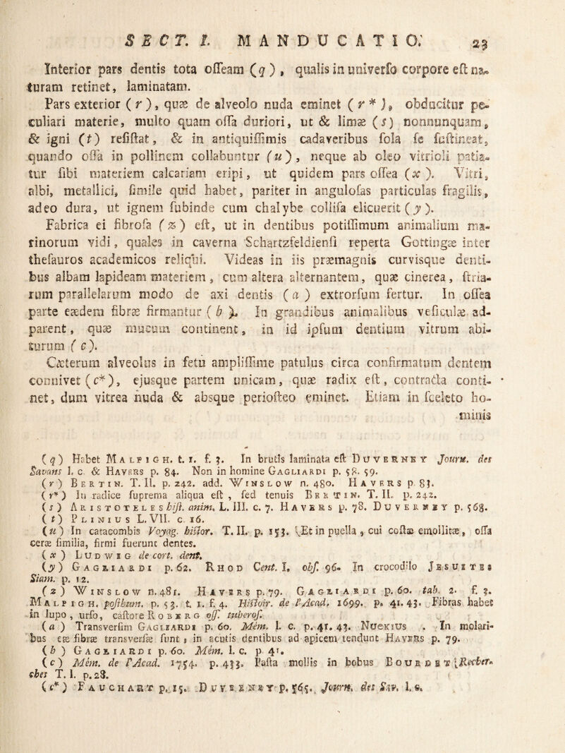 ( 2? Interior pars dentis tota ofTeam (^)i qualis in univetfo corpore eft niu turam retinet, laminatam. Pars exterior ( r ), de alveolo nuda eminet (r obducitor pe¬ culiari materie, multo quam offa duriori, ut & Vmx (s) nonounquamp & igni (t) refiftat, & in antiquifiimis cadaveribus fola fa fuftineat, quando o9a in poliincm collabootur (u') , neque ab cieo vitrioH patiai» tiir fibi niaterieni calcariam eripi, ut quidem pars offea (^). Vitri, albi, metallici, fimile qoid habet, pariter in angolofas particulas fragilis, adeo dura, ut ignem fubinde cum chalybe coliifa elicuerit (j);-). Fabrica ei fibrofa (z) eft, ut in dentibus potiffimum animalium ma- tinorum vidi, quales in caverna Schartzfeldienfl reperta Gottingx inter thefauros academicos reliqui. Videas in iis pr^magnis curvisqiie denti¬ bus albam lapideam materiem 5 cum altera alternantem, quae cinerea, ftria- rum parallelarum modo de axi dentis (a) extrorfuni fertur. In oflea parte eaedem fibr^. firmantur ( b ^ In grandibus animalibus veficul^ ad- parent, qu^ mucum continent, in id ipfiuii dentium vitrum abi¬ turum ( c)» CtCterom alveolus io fetu anipliffime patulus circa confirmatoin dentem connivet (c^), ejusque partem unicam, quae radix eft, cootrada conti- * net, dum vitrea nuda & absque periofteo eminet Eliam in fcekto ho¬ minis (q) Habet M a lp i g h. t. r. f. In bruds laminata cft Duvernky Jourtt, des lavans 1, c Havers p. 84* Non in homine Gagliardi p. $8. ^9. ( y ) B E R T I N, T. 11. p. 242. add. 'W i n s l 0 w n. 480. Havrrs p8l* () In radice fuprema aliqua eft, fed tenuis Bertin. T, IL p. 242. (j) Aristoteles bij}. anim, L. ill. c. 7. Havers p. 78. DuvePv2?2y p. 5 6$, (() Plinius L.VII. c 16. (u) In catacombis Voyag. bigior, T. II. p. 151. \Et in puella , cui coftas emollitae, olla cerae fimilia, firmi fuerunt dentes. ( ^ ) L u D w I G con. dent» (y) Gagliardi: p. 62. Rhod I, obf, ^6* Jn crocodilo Je-suitbs Siam. p. 12. ( 2 ) W IN s L 0 w n. 48 r. -H A V B R s p. 79. G a g 2. i a r d. i p. 60. tab. 2* f. M A L p I G H, pofthmn, p, s t i. fi 4. HiUoir. de dAcad, 1699.. p» 41* 41* . Fibras habeS in lupo, urfo, caftoreRoBXRG ojf. mberof. (a ) Transverfim Gagliardi p. 60. Mem. 1. c. p. 41. 4^. -Nuexius . In molari¬ bus fibrffi transverfae fiunt* in acutis dentibus ad apicem tendunt Havrrs p. 79. ib ) GAGaiARDi p. 60. Mhn. 1. c. p. 4 u (c) Mhn. de PAcad, ^7^4. p. 4I|. ,incl]is in bobus B o v k q ^ [Recteu shes T. i. p. 28. () F A u c H A R-:t .D y vs ^ p, iu 1,«.