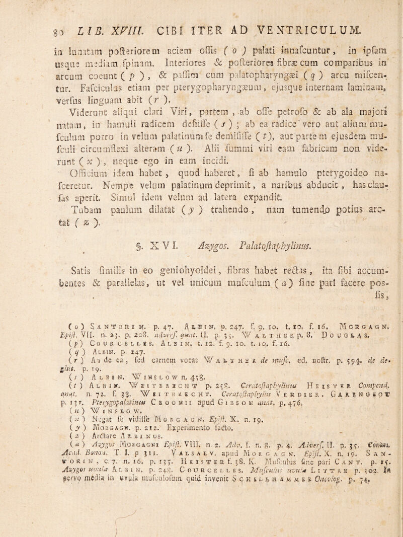 iii pofterioreni acieoi offis ( o ) palati innafconturin ipfam mqiu fpinaai. interiores Sc pofteriores fibrae cora comparibus in arcum coeunt ( /O > ^ paffini cora palatopharyngeo ( q ) arcu mifcea- tar. Fafciciilas etiam per pterygopharyogeuiii, ejasque iaternaai laminam^ Yerfiis lingoam abit (r ). Viderunt aliqui clari Viri, partem , .ab olle petrofo & ab aLa majori mtam, in haiiioli radicem defiilTe (f); ab ea radice'vero aut aliumhiiu- fcalum porro in vdooi palatinumfe demifiiTe ( Oj aut partem ejusdem niu- fculi circumflexi ). Alii iummi viri eam fabricam non vide« riint ( , neque ego in earn incidi. Oiiicium idem habet , quod haberet, fi ab hamulo pterygoideo na- fccretur. Neiiip'e velum palatinum deprimit, a naribus abducit, hasclaii- fas sperit. Simul idem velum ad latera expandit. Tubam paulam dilatat (j ) trahendo-, nam tumendju potius arc¬ tat f ^ ).- §. X V L Azygos, Pahtojlapbylinm, Satis fmiilis in eo geniohyoidei, fibras habet redas, bentes & paralieliiS', ot vel miicum marculum ( a) fiae ita fibi accmii- pari facere pos- iis 3 ( 0 ) S A N «r Q R I M. ' p. 4‘7. A i. B I N, p. 2.47. £ 9. IO. t. IO. f. ! AT C R G A G N, Epij}. VIL n. aj. p. 208. adverf. anat, 11. p. W a e. t H e s. p. 8.' D 0 sj G L a s, ( p) C o u E C E L L E s. A L B I N, £. I S. £ g. I O. S. I O, f. i (5. ( q ') Ale IN. p, 247. (r) Aa de ea, fed carnem vocat W a 1.‘r h s e de mufc, ed, coftr. p. 594, ds de> ghit. p. 19. (i-) A L B I N, W iNS L O w n. 4^;8. {t ) A L B 13f. W E I T E E S C H T p. 2^8. CeYatQftapbylwm H s i s t r r Compend, n. ‘j 2. £ |S* W f I T B II E c H T. Ceratojlaphylui Verdier, Garingsoid p. n ’■» Pierygopalatiniif C R o o m 11 apud G i b s o n ufxai, p. 476. ( /O s I. 0 w, ( ) Negat fe vidiiTe AT 0 r g a g w. EplA X. n. 19. (jy ) AioaGAGw. p. 212-. Ejcperimento fado. ( B ) Ardare A j. s i x us. (.1) AzygonJSlo^GAGin Epid. VllL n 2. Adv. L n. g. p. 4. Ad^'erfAh p,. €e}fmh Acad, B^uot, r I. p Valsaev. apud Ai o e g a g nt. Epift. X. n. 19. San¬ ior £ m , c. 7. n. 16, p. 157. H E I s T E s. £ ^8. IG Alurculus i^nc pari C a n t. p. 17. A'pygO^ MV:iU A L B i N. p, 7;4g. C o u R c E L L E s. MkJcmIuS UVu!a L I T T R H p, 2 03. f.ervo medi^ jo uvplii mufciUorum qyid invenit S c n e l e h a m e r Oncolog, p. 74,