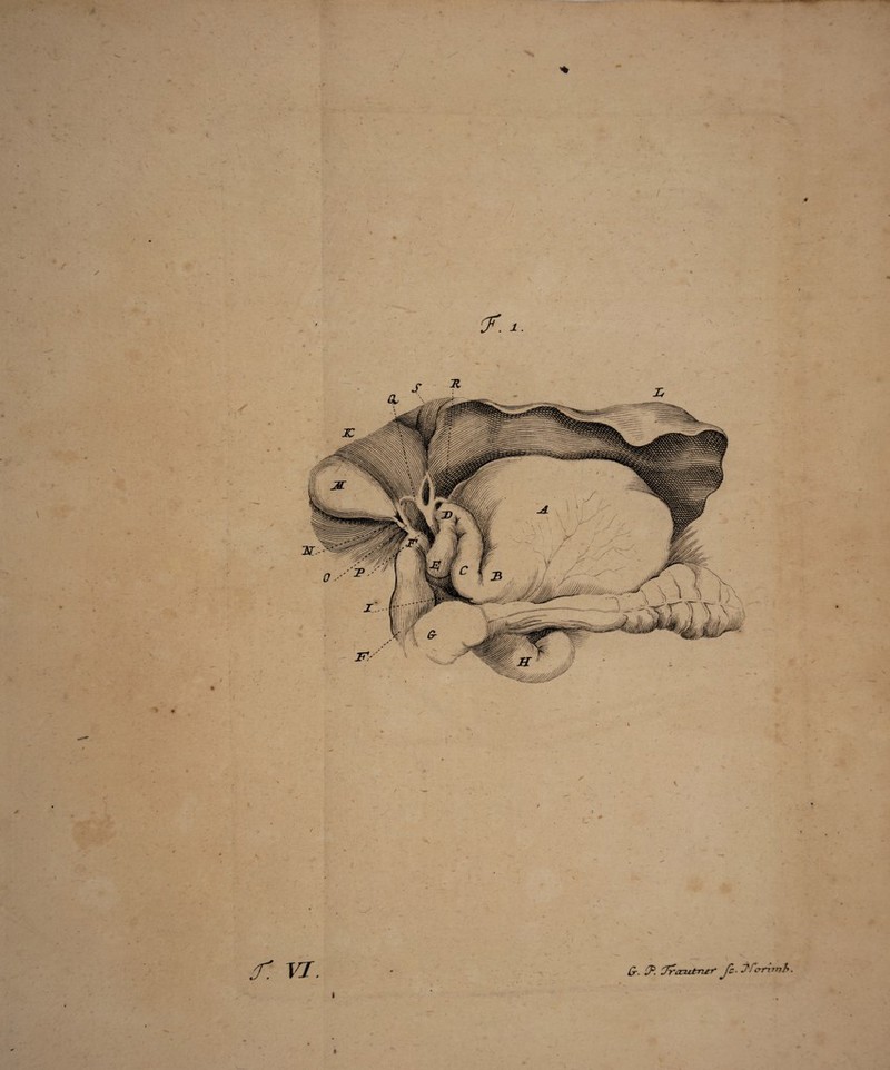 \ J. T-7, (jr. lP. CPPa::u±rmt‘ Jc> y^fcrrttnh. f