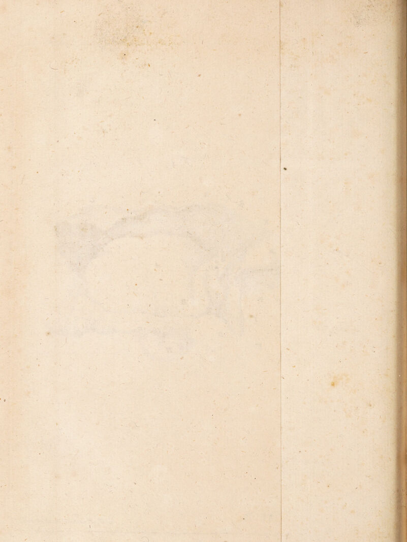 • I *■ ■' r '- i ' ' ‘ ■ 'm ‘M \ I 1 V A , -' ^ - r-f m. W V ' I, '■■ .i-^< .i f -1 l l