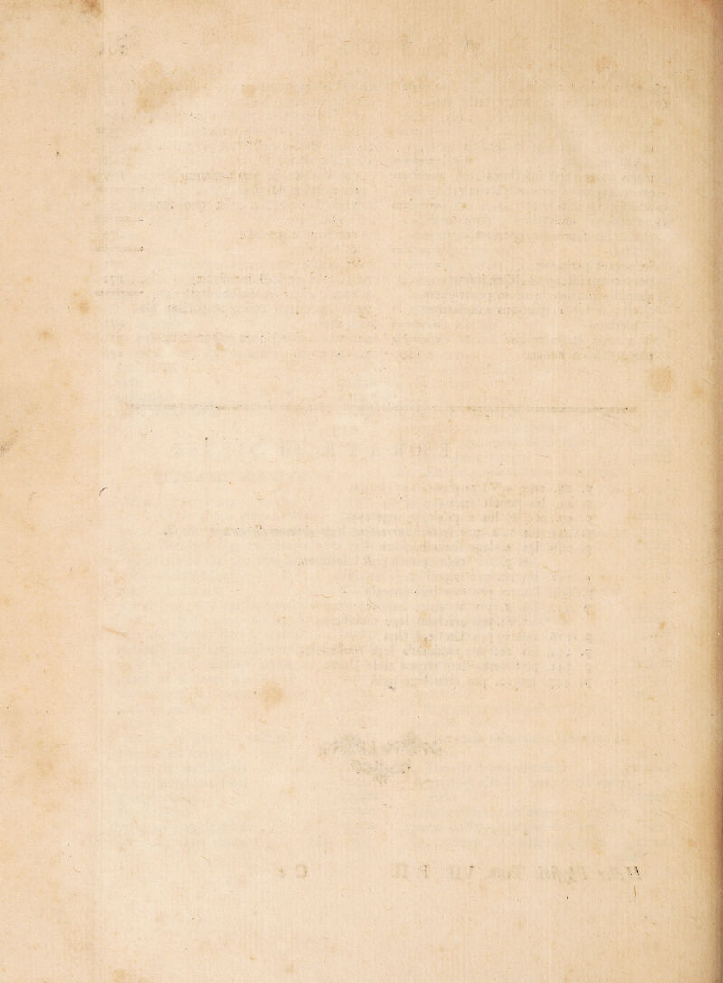 *•*<> •It ; ^ r “ ^>7. X r - , '' ■ ■ ' ■ I / r f f ’%