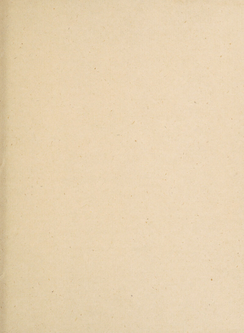 V,*- ■■ ■?, -■ ■ .V . r f < 1 t r :/ ■■ > 'v / \ i ^ % i / / ' * i .♦ • - «r 5 \ 7 \ /f \ 'y « A i