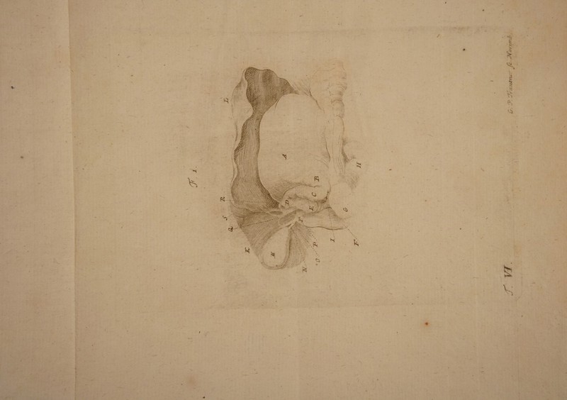 £r. fP. 'Jra.utru fc Jfoiitrih.