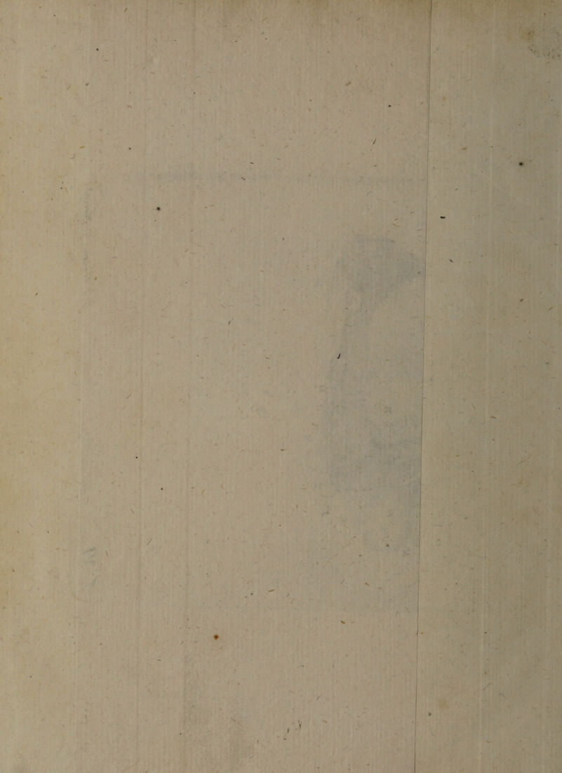 - y ' s r ✓ & V- • v . *4 - / . / : • > \ . / i / •. f .v y v -*V. »