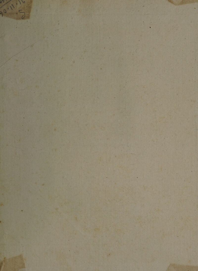 , ■ - - : m ■ ■ m i ■ - ■ ■ • - * • * - » •. **  * ' r # • •* • - \ * . rv\1 ■ ' ■ . . - . ■ * > . . - .* <* *f . mr«fci i ■