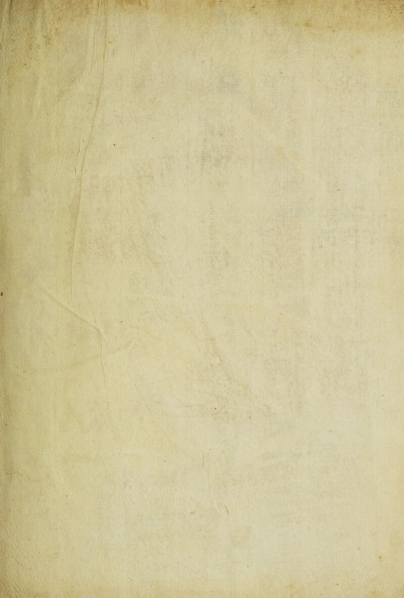 i \ \ ■ ■ 4 * • , ‘ % * * ' \ ï t J i t - .I *