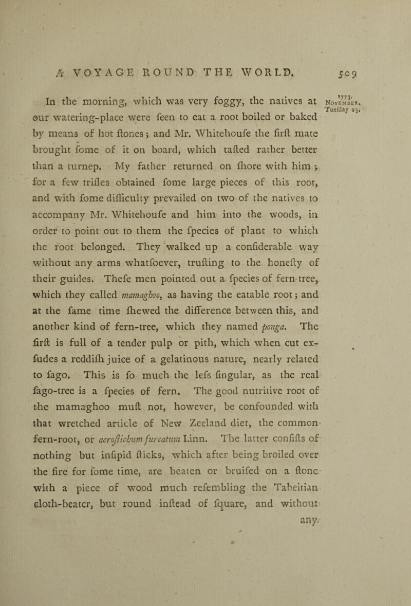 In the morninj^, which was very foggy, the natives at November Tuefday 23 our watering-place were feeii' to eat a root boiled or baked by means of hot Rones; and Mr. Whitehoufe the firfl mate brought fome of it on board, which tailed rather better thaii a turnep. My father returned on fhore with him ; for a few trifles obtained fome large pieces of this root, and with fome difficulty prevailed on two of the natives to accompany Mr. Whitehoufe and him into the woods, in order to point out to them the fpecies of plant to which the foot belonged. They 'walked up a confiderable way ' without any arms whatfoever, trufling to the. honefly of their guides. Thefe men pointed out a fpecies of fern*tree, which they called mamaghco, as having the eatable root; and at the fame time Ihewed the difference between this, and another kind of fern-tree, which they named ponga. The firfl is full of a tender pulp or pith, which when cut ex^ Aides a reddifli juice of a gelatinous nature, nearly related to fago. This is fo much the lefs Angular, as the reah \ fago-tree is a fpecies of fern. The good nutritive root of the mamaghoo muft not, however, be confounded with that wretched article of New Zeeland diet, the common fern-rootj or acrojiichiimfurcatum Linn. The latter confifls of' nothing but infipid flicks, which after being broiled over the fire for fome time, are beaten or bruifed on a flone* with a piece of wood much refembling the Tabeitian cloth-beater, but round -inflead of fquare, and without. any