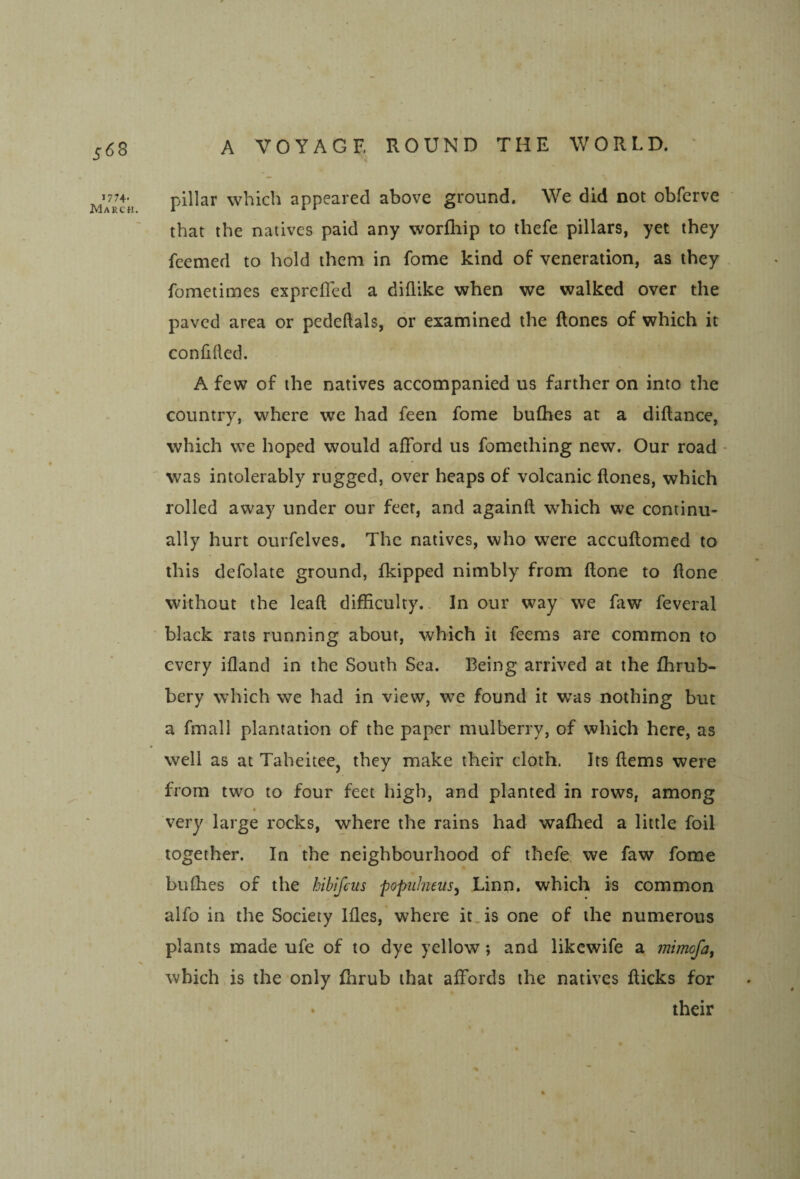 ^68 1774« March A VOYAGE ROUND THE WORLD. ' pillar which appeared above ground. We did not obfcrvc that the natives paid any worfliip to thefe pillars, yet they feemed to hold them in fome kind of veneration, as they fometimes exprefled a diflike when we walked over the paved area or pedeftals, or examined the Rones of which it confided. A few of the natives accompanied us farther on into the country, where we had feen fome buflies at a diflance, which we hoped would afford us fomething new. Our road - was intolerably rugged, over heaps of volcanic Rones, which rolled away under our feet, and againR which we continu¬ ally hurt ourfelves. The natives, who were accuRomed to this defolate ground, fkipped nimbly from Rone to Rone without the leaR difficulty.. In our way we faw feveral black rats running about, which it feems are common to every ifland in the South Sea. Being arrived at the ffirub- bery which we had in view, we found it was nothing but a fmall plantation of the paper mulberry, of which here, as well as at Taheitee, they make their cloth. Its Rems were from two to four feet high, and planted in rows, among « very large rocks, where the rains had waffied a little foil together. In the neighbourhood of thefe we faw fome buflies of the hibifciis popuhiem^ Linn, which is common alfo in the Society Ifles, where it. is one of the numerous plants made ufe of to dye yellow; and likewife a mimofa^ which is the only ffirub that affords the natives Ricks for • their