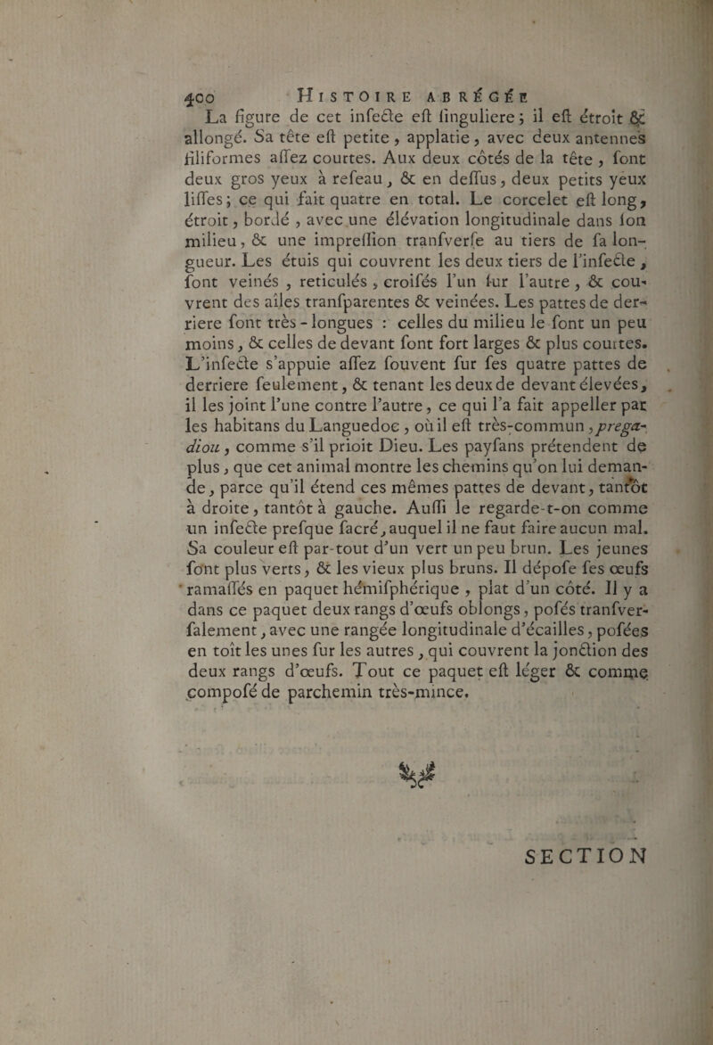 La figure de cet infedle efl linguliere ; il eft étroit ^ allongé. Sa tête eft petite , applatie, avec deux antennes filiformes affez courtes. Aux deux cotés de la tête j font deux gros yeux à refeau ^ ôc en deffus, deux petits yeux liffes; ce qui fait quatre en total. Le corcelet eft long, étroit 5 bordé , avec une élévation longitudinale dans ion milieu, & une impreflion tranfverfe au tiers de fa lon¬ gueur. Les étuis qui couvrent les deux tiers de finfedle , font veinés , réticulés > eroifés l’un fur l’autre, & cou¬ vrent des ailes tranfparentes & veinées. Les pattes de der^ riere font très-longues : celles du milieu le font un peu moins, & celles de devant font fort larges ôc plus courtes. L’infeéle s’appuie aifez fouvent fur fes quatre pattes de derrière feulement, ôc tenant les deux de devant élevées, il les joint l’une contre l’autre, ce qui l’a fait appeller par les habitans du Languedoc, où il eft très7Commun ^prega-, diou, comme s’il prioit Dieu. Les payfans prétendent de plus, que cet animal montre les chemins qu’on lui deman¬ de, parce qu’il étend ces mêmes pattes de devant, tantôt à droite, tantôt à gauche. Aufti le regarde-t-on comme un infeôle prefque facré, auquel il ne faut faire aucun mal. Sa couleur eft par-tout d’un vert un peu brun. Les jeunes font plus verts, ôc les vieux plus bruns. Il dépofe fes œufs 'ramaftés en paquet hémifphérique , plat d’un côté. Il y a dans ce paquet deux rangs d’œufs oblongs, pofés tranfver- falement, avec une rangée longitudinale d’écailles, pofées en toit les unes fur les autres, qui couvrent la jonôlion des deux rangs d’œufs. Tout ce paquet eft léger Ôc comriaQ compofé de parchemin très-mince. sê SECTION