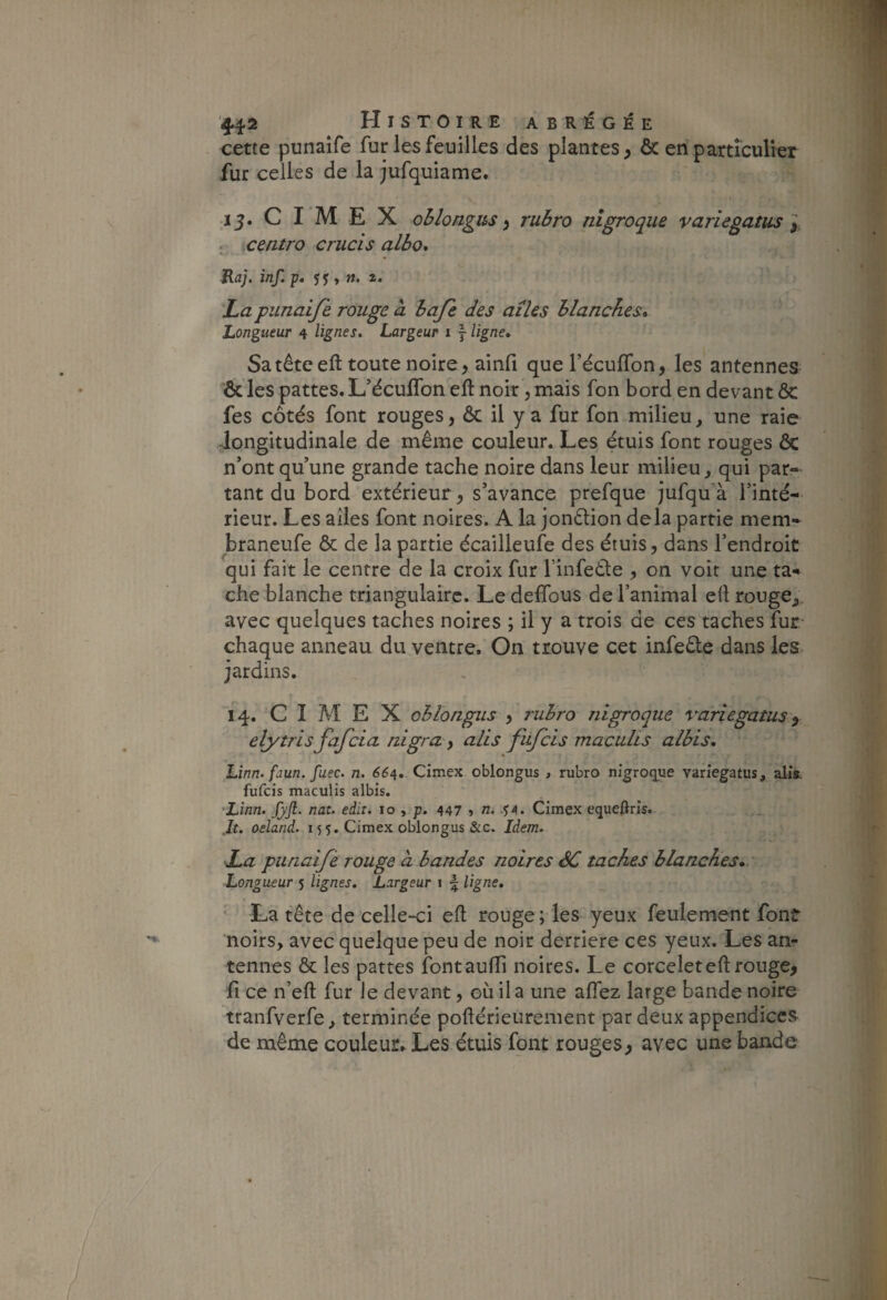 cette punaife fur les feuilles des plantes, ôc en particulier fur celles de la jufquiame. .15. C I M E X ohlongus, rubro nîgroque variegatus y icentro crucis albo* Raj. inf.p, , n. z. La punaife rouge à bafe des ailes blanches* Longueur 4 lignes» Largeur i j ligne, Satêteeft toute noire, ainfi que l’écuffon, les antennes Ôc les pattes. L’écuffon eft noir, mais fon bord en devant & fes côtés font rouges, ôc il y a fur fon milieu, une raie longitudinale de même couleur. Les étuis font rouges ôc n’ont qu’une grande tache noire dans leur milieu, qui par¬ tant du bord extérieur, s’avance prefque jufquà l’inté¬ rieur. Les ailes font noires. A la jonêlion delà partie mem- braneufe ôc de la partie écailleufe des étuis, dans l’endroit qui fait le centre de la croix fur finfedle , on voit une ta* che blanche triangulaire. Le deffous de ranimai ell rouge,, avec quelques taches noires ; il y a trois de ces taches fur- chaque anneau du ventre. On trouve cet infeôle dans les jardins. rq. C I M E X ohlongus , rubro nigroque variegatus elytris fafcia nigra, alis fufcis maculis albis, Linn. faun. fuec. n. 664, Cimex ohlongus > rubro nigroque variegatus, alis. fufcis maculis albis. Linn. JjJl. nat. edit. 10 , p. 447 » n. Cimex equellris. ,It. oeland. 155. Cimex ohlongus &c. Idem. La piinaifé rouge à bandes noires êC taches blanches,.'- Longueur 5 lignes. Largeur i f ligne. La tête de celle-ci efl rouge; les yeux feulement font noirs, avec quelque peu de noir derrière ces yeux. Les an¬ tennes ôc les pattes fontauffi noires. Le corceleteft rouge, fl ce n’eft fur le devant, où il a une affez large bande noire tranfverfe, terminée poftérieurenient par deux appendices de même couleur^ Les étuis font rouges, avec une bande