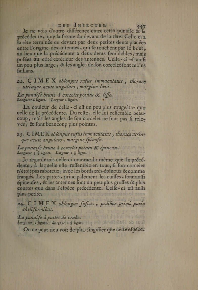 DES Insectes. ^ ^ 447 Je ne vois d’autre différence entre cette'punaife &: la précédente, que la forme du devant de la tête. Celle-ci a la tête terminée en devant par deux petites dents placées entre l’origine des antennes, qui fe touchent par le bout, au lieu que la précédente a deux dents femblables, mais pofées au côté extérieur des antennes. Celle-ci eftaufîi un peu plus large, & les angles de fon corcelet font moins faillans. 32. C I M E X ohlongiis rufiis immaculatus , thoract utrinque acute angulato , margine lævi, . . JLa punaife h rime à corcelet pointu êC Hjfe^' Longueur 6 lignes. Largeur i lignés. • La couleur de celle-ci eft un peu plus rougeâtre que celle de la précédente. Du refte, elle lui reffemble beau¬ coup , mais les angles de fpn corcelet ne font pas fl rele*^ vés, & font beaucoup plus pointus. 35. C IM E X oblongus rufus immaculatus, thoraçe utdnj^ que acute angulato , margine fpinofo. 'La punaife. brune à corcelet pointu éC épineux,' Longueur 3 § lignes. Largeur 1 § Ligne, • '-*■ Je regarderois celle-ci comme la même que la précé¬ dente, à laquelle elle reffemble en tout,fi fon corcelet n’étoit pas raboteux, avec les bords très-épineux ôc comme frangés. Les pattes , principalement les cuiffes , font auflî épineufes , & les antennes font un peu plus groffes & plus courtes que dans l’efpéce précédente. Celle-ci eft.aufîi plus petite. ' ^ ^ 24. C 1 M E X oblongus fufcus , pedibus primi parts cheliformi bus. La punaife à pattes de crabe, - ‘ - Longueur i lignes. Largeur i f ligne, ^ f h.t 00 - On ne peut rien voir de plus fînguîicr que cette efpéce;