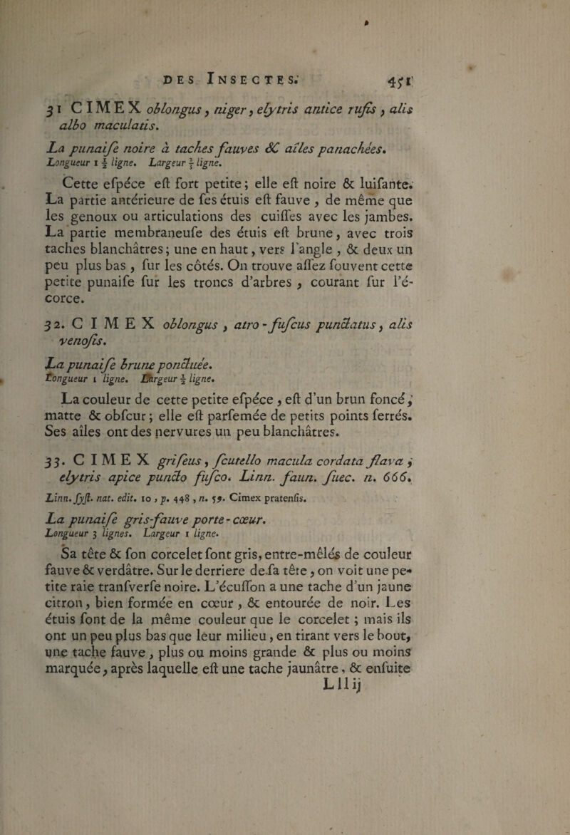 31 C IM E X oblongus y niger y elytrls antlce rufis ) ails albo maculatis, La punaifi noire à taches fauves éC ailes panachées» Longueur 11 ligne. Largeur j ligne. Cette efpéce eft fort petite ; elle eft noire & luifante.’ La partie antérieure de fes étuis eft fauve , de même que les genoux ou articulations des cuifl'es avec les jambes. La partie membraneufe des étuis eft brune, avec trois taches blanchâtres; une en haut, vers l’angle , ôc deux un peu plus bas , fur les côtés. On trouve afl'ez fouvent cette petite punaife fur les troncs d'arbres , courant fur l’é¬ corce. 32. C I M E X oblongus , atro-fujcus punclatus y ails venojîs, La punaife brune ponctuée, Longueur i ligne, Ukrgeur f ligne, La couleur de cette petite efpéce , eft d’un brun foncé; matte & obfcur ; elle eft parfemée de petits points ferrés. Ses ailes ont des nervures un peu blanchâtres. 33. C I M E X grlfeus y fcutello macula cordata flava y elytrls aplce punclo fufco, Llnn. faun. fuec, n, 666» Linn.jyjl- nat. edit, lo , j), 448 , n, Cimex pratenfis. La punaife gris fauve porte-cœur. Longueur 3 lignes. Largeur i ligne. « Sa tête & fon corceletfont gris,entre-mêlé5 de couleur fauve ôc verdâtre. Sur le derrière de.fa tête, on voit une pe** tite raie tranfverfe noire. L’écuftbn a une tache d’un jaune citron, bien formée en cœur , ôc entourée de noir. Les étuis font de la même couleur que le corcelet ; mais ils ont un peu plus bas que leur milieu, en tirant vers le bout, une tache fauve, plus ou moins grande Ôc plus ou moins marquée, après laquelle eft une tache jaunâtre, ôc enfuite Lllij