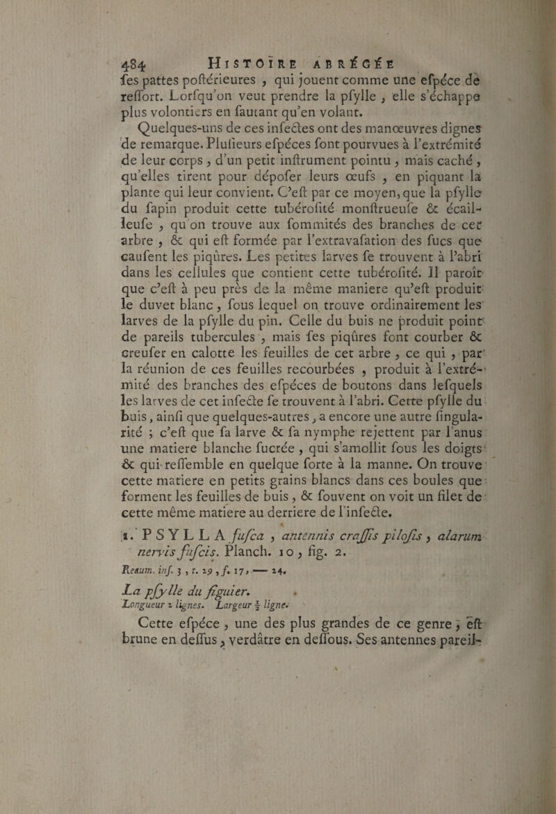 fes pattes poftérieures , qui jouent comme une efpdce de reflbrt. Lorfqu’on veut prendre la pfylle , elle s’échappe plus volontiers en fautant qu’en volant. Quelques-uns de ces infeétes ont des manœuvres dignes 'de remarque. Plulieurs efpéces font pourvues à l’extrémité de leur corps ^ d’un petit inftrument pointu y mais caché , qu’elles tirent pour dépofer leurs œufs y en piquant la plante qui leur convient. C’eft par ce moyen, que la pfylle du fapin produit cette tubérofité monftrueufe & écail- ieufe y qu’on trouve aux fommités des branches de cec arbre , ôc qui efl: formée par l’extravafation des fucs que caufent les piqûres. Les petites larves fe trouvent à l’abri dans les cellules que contient cette tubérofité. Il paroîe que c’eft à peu près de la même maniéré qu’eft produit- le duvet blanc, fous lequel on trouve ordinairement les larves de la pfylle du pin. Celle du buis ne produit point' de pareils tubercules , mais fes piqûres font courber ôc ereufer en calotte les feuilles de cet arbre , ce qui , par' la réunion de ces feuilles recourbées , produit à l’extré mité des branches des efpéces de boutons dans lefquels les larves de cet infede fe trouvent à l’abri. Cette pfylle du buis, ainfi que quelques-autres y a encore une autre fingula- rité ; c’eft que fa larve ôc fa nymphe rejettent par l’anus une matière blanche fucrée , qui s’amollit fous les doigts* ôc qui relfemble en quelque forte à la manne. On trouve cette matière en petits grains blancs dans ces boules que forment les feuilles de buis, ôc fouvent on voit un filet de' cette même matière au derrière de l’infedle. * I, P S Y L L K fu/ca y ante/mis crajjis pilojls y alarum nervis fiifcis. Planch. 10 ^ fig. 2. ReAUJîi. inj. 3 , f. ,/. 17# — 24. La pfylle du figuier. Longueur z lignes. Largeur f lignes Cette efpéce , une des plus grandes de ce genre j ëft brune en deffus y verdâtre en deffous. Ses antennes pareiL