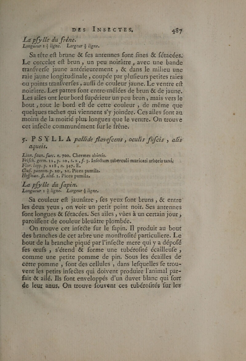 La pfy lie du frêne. Longueur 11 ligne. Largeur f ligne. Sa tête eft brune ôc fes antennes font fines & fêtacées; Le corcelet eft brun, un peu noirâtre, avec une bande tranfverfe jaune antérieurement , ôc dans le milieu une raie jaune longitudinale 5 coupée par plufieurs petites raies ou points tranfverfes, aufii de couleur jaune. Le ventre efl: noirâtre. Les pattes font entre-mêlées de brun & de jaune. Les ailes ont leur bord fupérieur un peu brun, mais vers le bout, tout le bord eft de cette couleur , de même que quelques taches qui viennent s’y joindre. Ces ailes font au moins de la moitié plus longues que le ventre. On trouve cet infeéle communément fur le frêne. 5*. P S Y L L A pallide flavefcens, ociilis fufeis ^ ails' aqueis, • i Linn. faun. fuec. n. 700. Chermes abietîs. frifeh. germ. iz, p. 10, t. z 3. Infeâum tuberculi muricati arboris taxi.' Flor. lapp. p. 118 , n. 347. E, Ciuf. pannon. p. lo , xi. Picea pumila. Hoffman. Jl. altd. i. Picea pumila. La pfy lie du fapin. Longueur i j ligne. Largeur f ligne. Sa couleur eft jaunâtre , fes yeux font bruns ^ & entre' les deux yeux, on voit un petit point noir. Ses antennes font longues & fétacées. Ses ailes, vues à un certain jour paroiflent de couleur bleuâtre plombée. On trouve cet infeête fur le fapin. Il produit au bout des branches de cet arbre une monftrofité particulière. Le' bout de la branche piqué par Finfeêle mere qui y a dépofé fes œufs , s’étend 6c forme une tubérofité écailleufe > comme une petite pomme de pin. Sous les écailles de cette pomme , font des cellules , dans lefquelles fe trou-' vent les petits infeéles qui doivent produire l’animal par¬ fait ôc ailé. Ils font enveloppés d’un duvet blanc qui fort de leur anus, On trouve fouvent ces tubérofités fur les