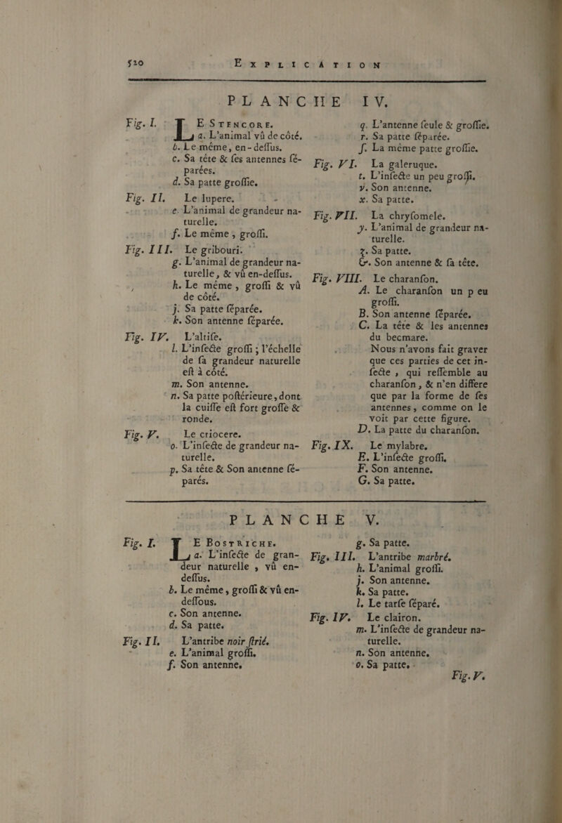 PLANCHE IV. P'g’* I ■ T EStencore. I J g. L’animal vu de côté. Z?. Le meme, en-deflus. c. Sa tête & (es antennes ré¬ parées. d. Sa patte groflîe, Fig. II, Le hipere. -• •; e. L’animal de grandeur na¬ turelle. /.Le même , grofli. Fig. III. Le gribouri. g. L’animal de grandeur na¬ turelle, & vû en-defTus. h. Le même , groffi & vu de cote. j j. Sa patte (eparée. k. Son antenne féparée. Fig. IV. L’altife. l. L’infede groffi ; l’échelle de fa grandeur naturelle eft à côté. m. Son antenne. ' n. Sa patte poftérieure, dont la cuilTe eft fort groflê & ronde. Fig. V. Le criocere. 0. L’infede de grandeur na¬ turelle. p. Sa tête & Son antenne ré¬ parés. L’antenne reule & groffie. r. Sa patte réparée. /. La même patte grofîie. Fig. VI. La galeruque. t. L’inrede un peu gro^. V. Son antenne. X. Sa patte. Fig. VII. La chryfomele. J. L’animal de grandeur na¬ turelle. Sa patte. G*. Son antenne & (a tête. Fig. VIII. Le charanron. A. Le charanron un p eu grolfi. B. Son antenne réparée. C. La tête & les antennes du becmare. . Nous n’avons fait graver que ces parties de cet in- rede , qui reftèmble au charanron, Sc n’en différé que par la forme de fès antennes, comme on le voit par cette figure. D. La patte du charanfon. Fig. IX. Le mylabre, E. L’infede groffi, F. Son antenne. G. Sa patte. PLANCHE V. F T EBostriche. ,1 J a. L’infcde de gran¬ deur naturelle , vû en- deffiis. b. Le même, groffi & vû en- deiïbus. c. Son antenne. d. Sa patte. Fig. II. L’antribe noir Jlrié. e. L’animal groffi, /. Son antenne. g. Sa patte. Fig. III. L’antribe marbré, h. L’animal groffi. j. Son antenne. k. Sa patte. l. Le tarfe féparé. Fig. IV. Le clairon. m. L’infede de grandeur na¬ turelle. n. Son antenne. 0. Sa patte. Fis-F.