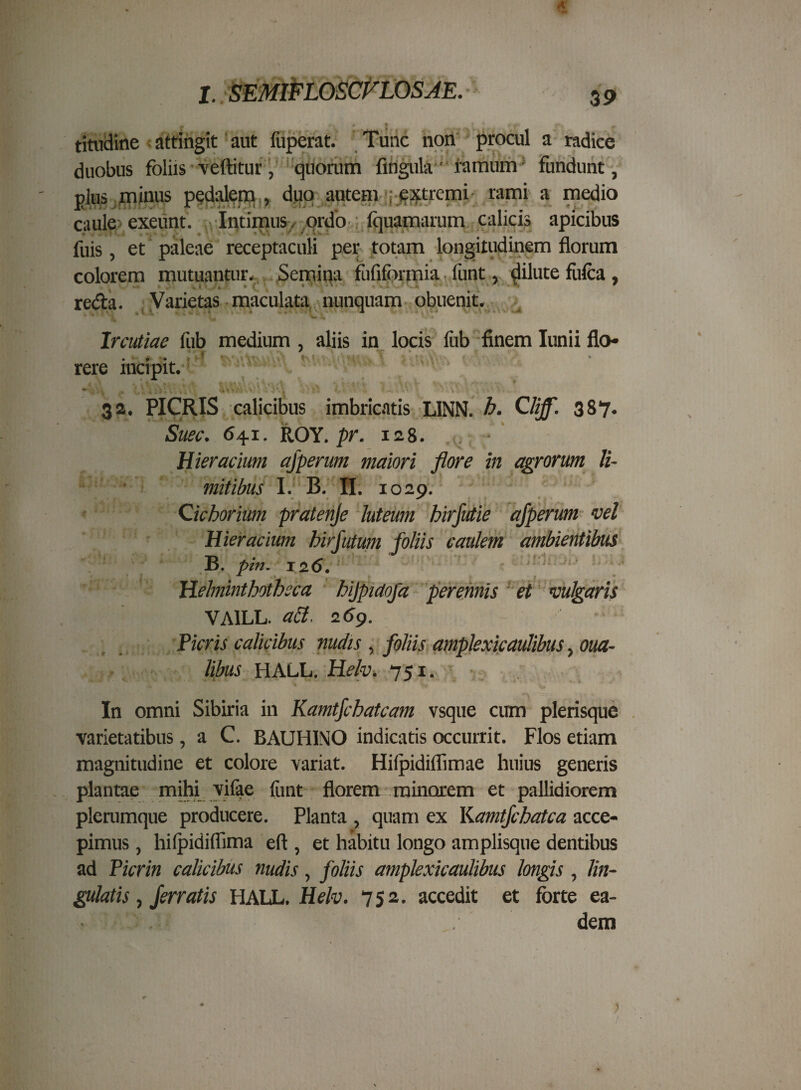 fuis, et paleae receptaculi per totam longitudinem liorum colorem mutuantur. Semina fufiformia funt, dilute fiifca , reda. Varietas maculata nunquam obuenit. Ircutiae fub medium , aliis in locis iiib finem Iunii flo- rere incipit. 32. PICRIS calicibus imbricatis L1NN. b. Cliff. 387. •* W Suec. 641. ROY. pr. 128. Hieracium ajperum maiori flore in agrorum li¬ mitibus I. B. II. 1029. Qicborium pratenje luteum hirfutie ajperum vel Hieracium hirjutwn foliis caulem ambientibus B. pin. 12.6. ■* ^ . , . • Helminthotbcca bijpiaofa perennis et vulgaris VA1LL. a&. 269. Picris calicibus nudis , foliis amplexicaulibus, oua- libus HALL. Helv. 751. In omni Sibiria in Kamtfchatcam vsque cum plerisque varietatibus, a C. BAUH1NO indicatis occurrit. Flos etiam magnitudine et colore variat. Hiipidiflimae huius generis plantae mihi vifae funt florem minorem et pallidiorem plerumque producere. Planta , quam ex Kamtfchatca acce¬ pimus , hifpidiflima eft , et habitu longo amplisque dentibus ad Picrin calicibus nudis, foliis amplexicaulibus longis, lin¬ gulatis , ferratis HALL. Helv. 752. accedit et forte ea¬ dem