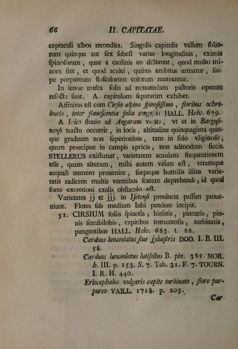 ceptaculi albos recondita. Singulis capitulis vallum folio* rum quinque aut fex fubefl variae longitudinis, eximie (pihoforum , quae a caulinis eo diflenint, quod multo mi- nora fint, et quod aculei, quibus ambitus armatur, fae- pe purpureum flofculorum Colorem mutuentur. In icone multa folia ad minuendam pi&oris operam refe&a funt. A. capitulum feparatim exhibet. Affinitas eft cum Cirfio alpino JpinoJifJimo , floribus ochro- leucis , inter flauefcentid folia cmgefis HALL. Helv. 679. A Irio fluuio ad Angdram vs; ua, vt et in Bargufi- nenft tra&u occurrit, in locis , altitudine quinquaginta quin¬ que graduum non iuperioribUs, tam in folo vliginofo, quam praecipue in campis apricis, non admodum ficcis. STELLERUS exiffimat, varietatem acaulam ftequentiorem efle , quam alteram , mihi autem vifum ed:, vtramque aequali numero prouenire, iaepeque humilis illius varie¬ tatis radicem multis vermibus fcatere deprehendi s id quod forte excretioni Caulis obftaculo eft. Varietates jj et jjj. in Ifetenfi prouincia paffim prOue- niunt. Flores feb medium lulii pandere incipit. 51. CIRSIUM foliis fpinofis j hirliitis, pinnatis, pin¬ nis femibilobis , capitibus tomentofts i turbinatis , pungentibus HALL Helv. 683. t. 22. Carduus laneeolatus flue Jylueflris DOD, I* B. III. $8-.. ;i : ’ ' j* Carduus laneeolatus latifolius B. pm. 385- MOR. h. III. p. 153. S. 7. Tab. 31* F. 7- TOURN. I. R. H. 440. Eriocephalus vulgaris capite turbinato , flore pur¬ pureo VA1LL. 1718. p. ao5._ Car