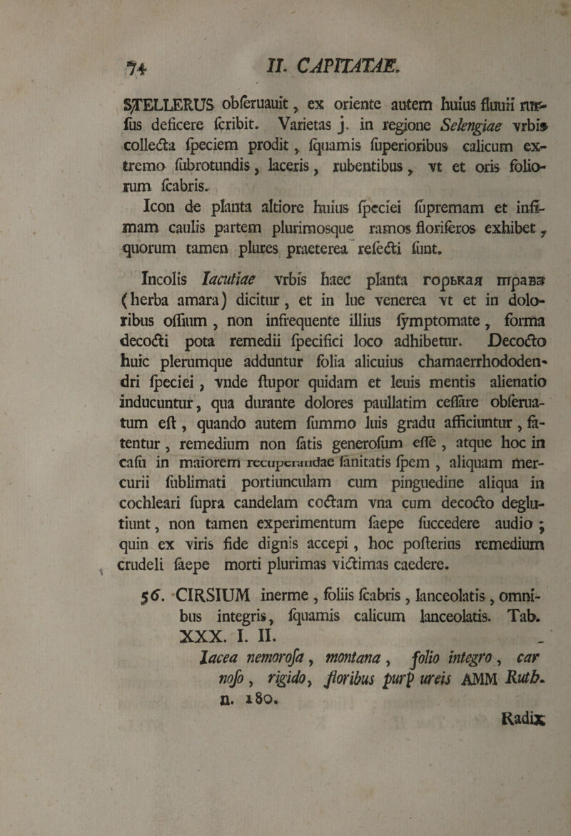 SJELLERUS obferuauit, ex oriente autem huius fluuii nrp* lus deficere fcribit. Varietas j. in regione Selengiae vrbi$ colleda fpeciem prodit, Iquamis fuperioribus calicum ex¬ tremo fabrotundis, laceris, rubentibus, vt et oris folio¬ rum fcabris. Icon de planta altiore huius (pcciei fupremam et infi¬ mam caulis partem plurimosque ramos floriferos exhibet r quorum tamen plures praeterea reledi funt. Incolis lacutiae vrbis haec planta ropbKaa mpaBS (herba amara) dicitur, et in lue venerea vt et in dolo¬ ribus offium , non infiequente illius fymptomate, forma decodi pota remedii fpecifici loco adhibetur. Decodo huic plerumque adduntur folia alicuius chamaerrhododen- dri lpeciei, vnde ftupor quidam et leuis mentis alienatio inducuntur, qua durante dolores paullatim cellare obferua- tum efl, quando autem fiimmo luis gradu afficiuntur, fe¬ tentur , remedium non fetis generolum efie, atque hoc in cafti in maiorem recuperandae lanitatis lpem , aliquam mer¬ curii liiblimati portiunculam cum pinguedine aliqua in cochleari fupra candelam codam vna cum decodo deglu- tiunt, non tamen experimentum ftepe fuccedere audio ; quin ex viris fide dignis accepi, hoc pofterins remedium crudeli feepe morti plurimas vidimas caedere. 5 6. CIRSIUM inerme , foliis feabris , lanceolatis , omni¬ bus integris, Iquamis calicum lanceolatis. Tab. XXX. I. II. lacea nemoroja, montana , folio integro, car nofo, rigido, floribus purp ureis AMM Rutb. n. 180.