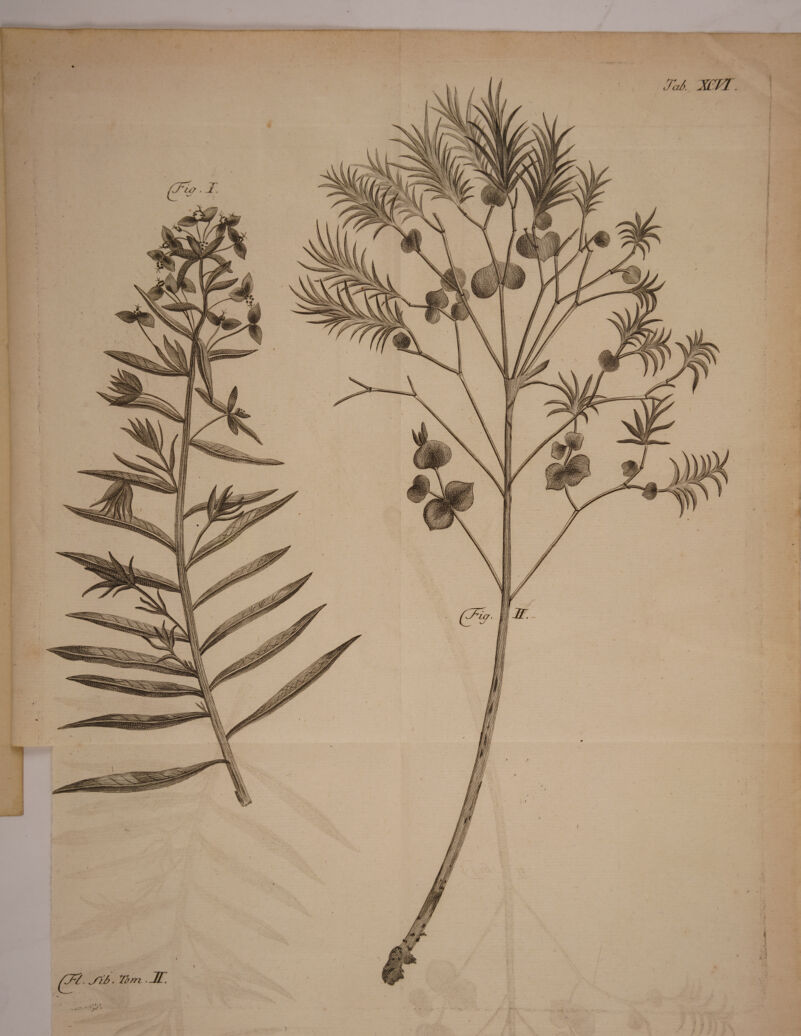 e /.. /}7> ■ 7am .JT. TaA. X?PT. ■S JT. .1. Uf