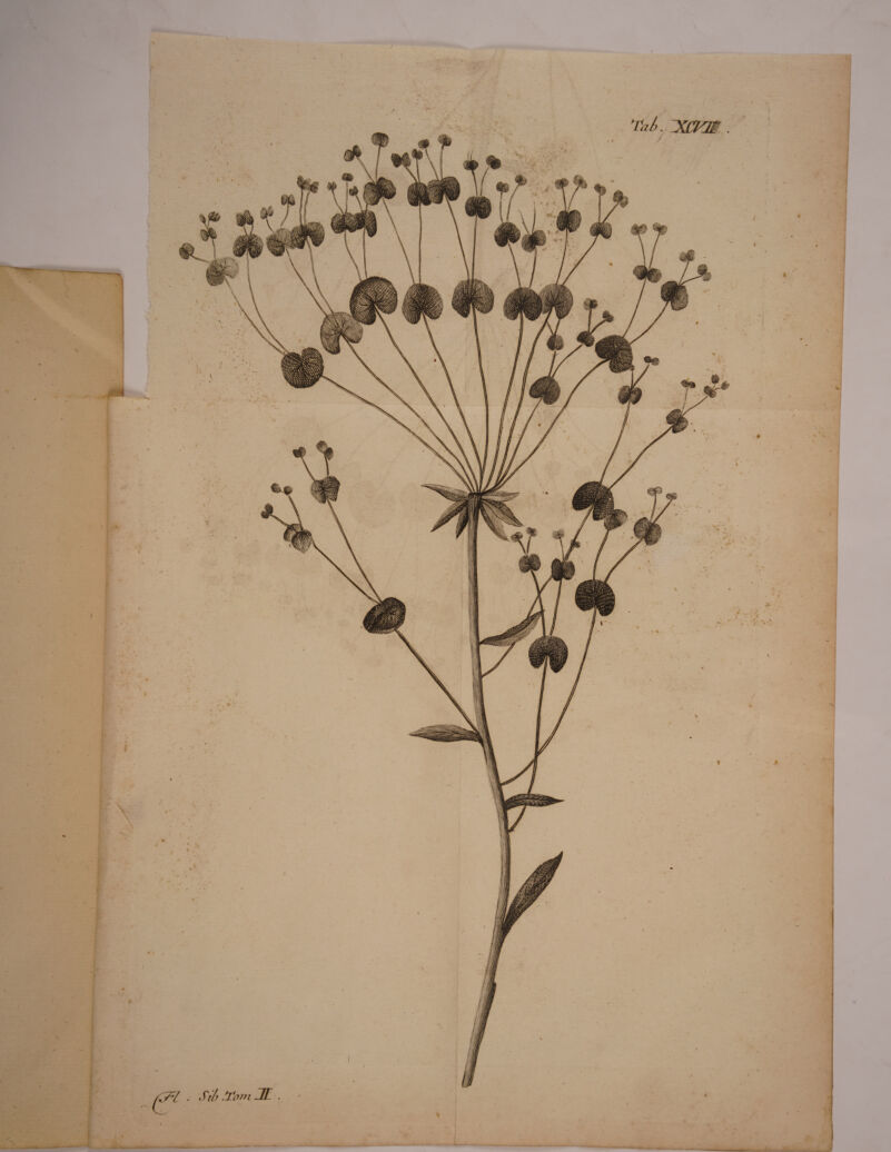 VaL jayn. '•\ „ \ * * C7*1 . Sili .Tom 3T -\ .__ —.— ,— -__ — i ii