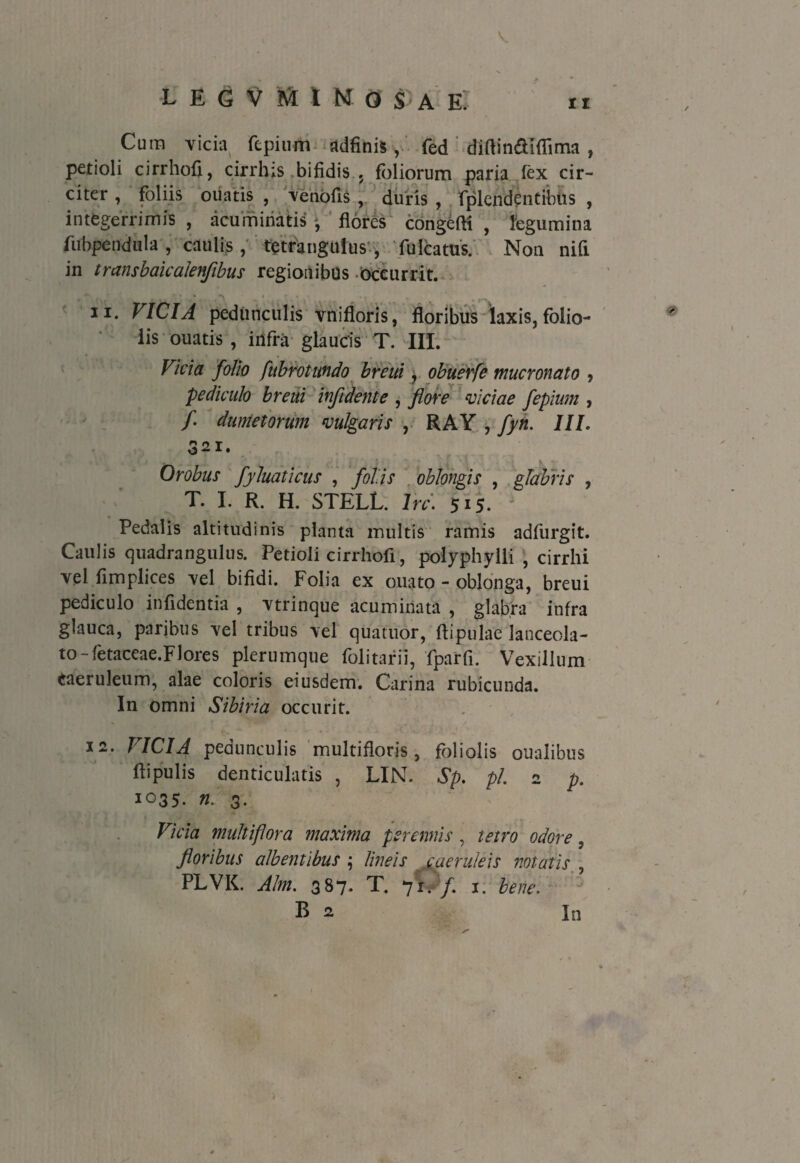 Cura vicia fepium adfinis, fed diflin&iflima , petioli cirrhofi, cirrhis bifidis . foliorum paria lex cir¬ citer , foliis otiatis , venofis , duris , fplendentibns , integerrimis , acuminatis ^ flores congeffi , legumina fubpendula, caulis, tetrangulus , fulcatus. Non nifi in transbaicaJenfibus regionibus Occurrit. 11. VICIA pedunculis vnifloris, floribus laxis,folio¬ lis ouatis, infra glaucis T. III. Vkia folio fiibrotundo breui, obuerfe mucronato , pediculo breui infldente , flore viciae fepium , / dumetorum vulgaris , RAY , fyn. III. 321. Orobus fyluaticus , foliis oblongis , glabris , T. I. R. H. STELL. Irci 51$. i Pedalis altitudinis planta inultis ramis adfurgit. Caulis quadrangulus. Petioli cirrhofi, polyphylli , cirrhi vel flmplices vel bifidi. Folia ex ouato - oblonga, breui pediculo infldentia , vtrinque acuminata , glabra infra glauca, paribus vel tribus vel quatuor, ftipulae lanceola- to-fetaceae.Flores plerumque folitarii, fparfi. Vexillum Caeruleum, alae coloris eiusdem. Carina rubicunda. In omni Sibiria occurit. 12. VICIA pedunculis multifloris, foliolis Qualibus flipulis denticulatis , LIN. Sp. pl. 2 p. 1035. n. 3. Vicia multiflora maxima perennis, tetro odore, floribus albentibus $ lineis caeruleis notatis , PLVK. Alm. 387. T. ftwf 1. bene. B 2 In