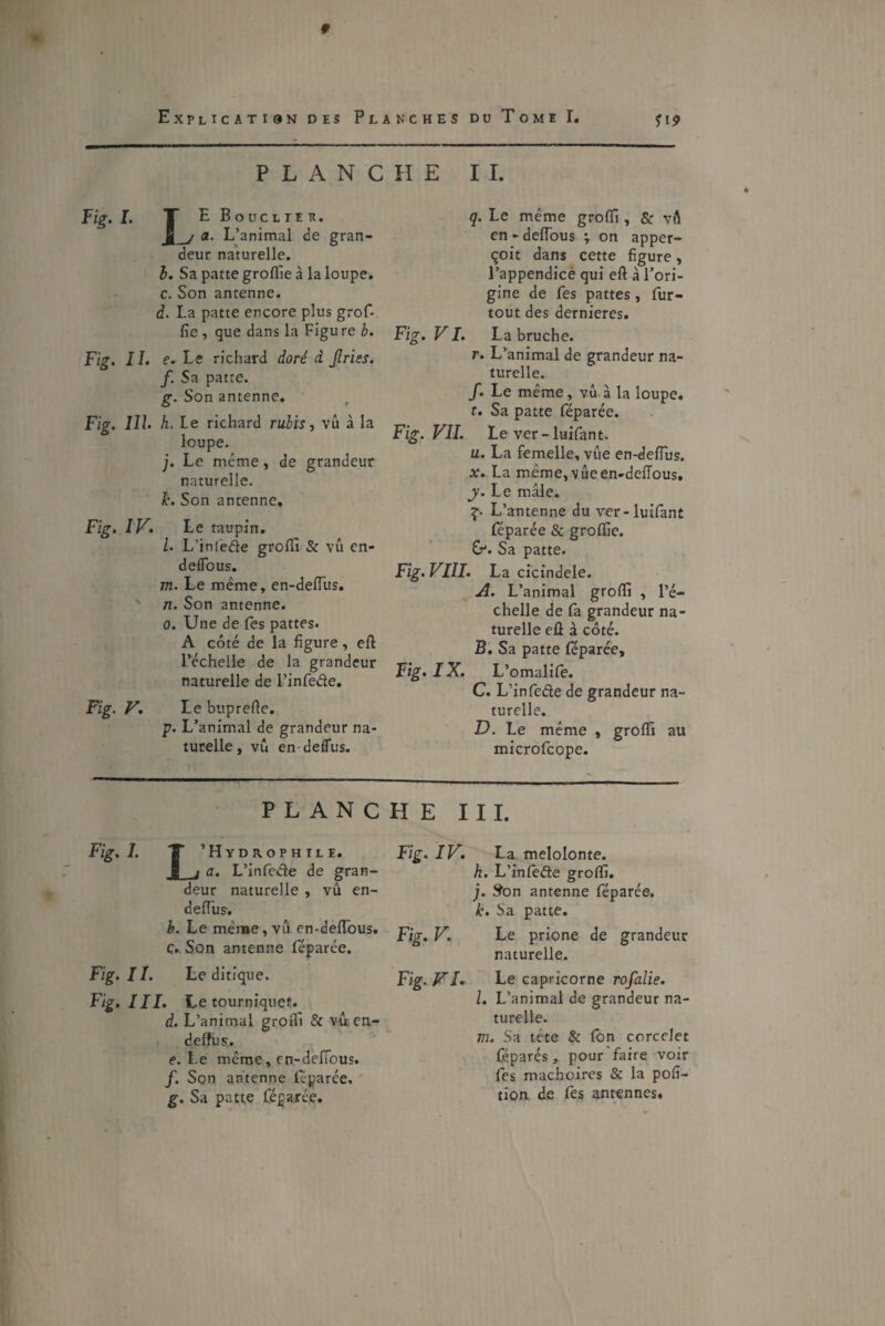 Explication des Pi.anches du Tome I. PLANCHE II. Fig. I. T E Bouclier. a. L’animal de gran¬ deur naturelle. b. Sa patte groffie à la loupe. c. Son antenne. d. La patte encore plus grof¬ fie , que dans la Figu re b. Fig. II. e. Le richard doré d Jiries. f. Sa patte. g. Son antenne. r Fig. 111. h. Le richard rubis, vu à la loupe. ;. Le même, de grandeur naturelle. 1c. Son antenne. Fig. IV. Le taupin. l. L’infede groffi Si vu en- deflous. m. Le même, en-deflus. ' n. Son antenne. o. Une de Tes pattes. A coté de la figure, eft l’échelle de la grandeur naturelle de l’infede. Fig. V’. Le buprefte. p. L’animal de grandeur na¬ turelle , vu en deflus. q. Le même groffi , & vû en - deffous ; on apper- çoit dans cette figure, l’appendice qui eft à l’ori¬ gine de Les pattes , fur- tout des dernieres. Fig. VI. La bruche. r. L’animal de grandeur na¬ turelle. f. Le même, vu à la loupe. f. Sa patte féparée. Fig. VIL Le ver-luifant. u. La femelle, vue en-defius. x. La mèmej-vueen-dellous. y. Le mâle. L’antenne du ver-luifant féparée & groffie. &J. Sa patte. Fig. VIII. La cicindele. A. L’animal grofïi , l’é¬ chelle de fa grandeur na¬ turelle eil à côté. B. Sa patte féparée, Fig. IX. L’omalife. C. L’in fede de grandeur na¬ turelle. D. Le même , groffi au microfcope. PLANCHE III. Fig, 1. T 'Hydrophile. I j a. L’infede de gran¬ deur naturelle , vu en- defius. b. Le même, vu en-defious. C. Son antenne féparée. Fig. I /. Le ditique. Fig. III. Le tourniquet. d. L’animal groffi Si vuen- defîus. e. Le même, en-defious. /. Son antenne féparée. g. Sa pacte féparée. Fig. IV. La melolonte. h. L’infede groffi. j. Son antenne féparée. h. Sa patte. Fig. V. Le prione de grandeur naturelle. Fig. VI* Le capricorne rofalie. l. L’animal de grandeur na¬ turelle. m. Sa tête & fon corcelet féparés, pour faire voir fes mâchoires & la pofi- tion de fes antennes.