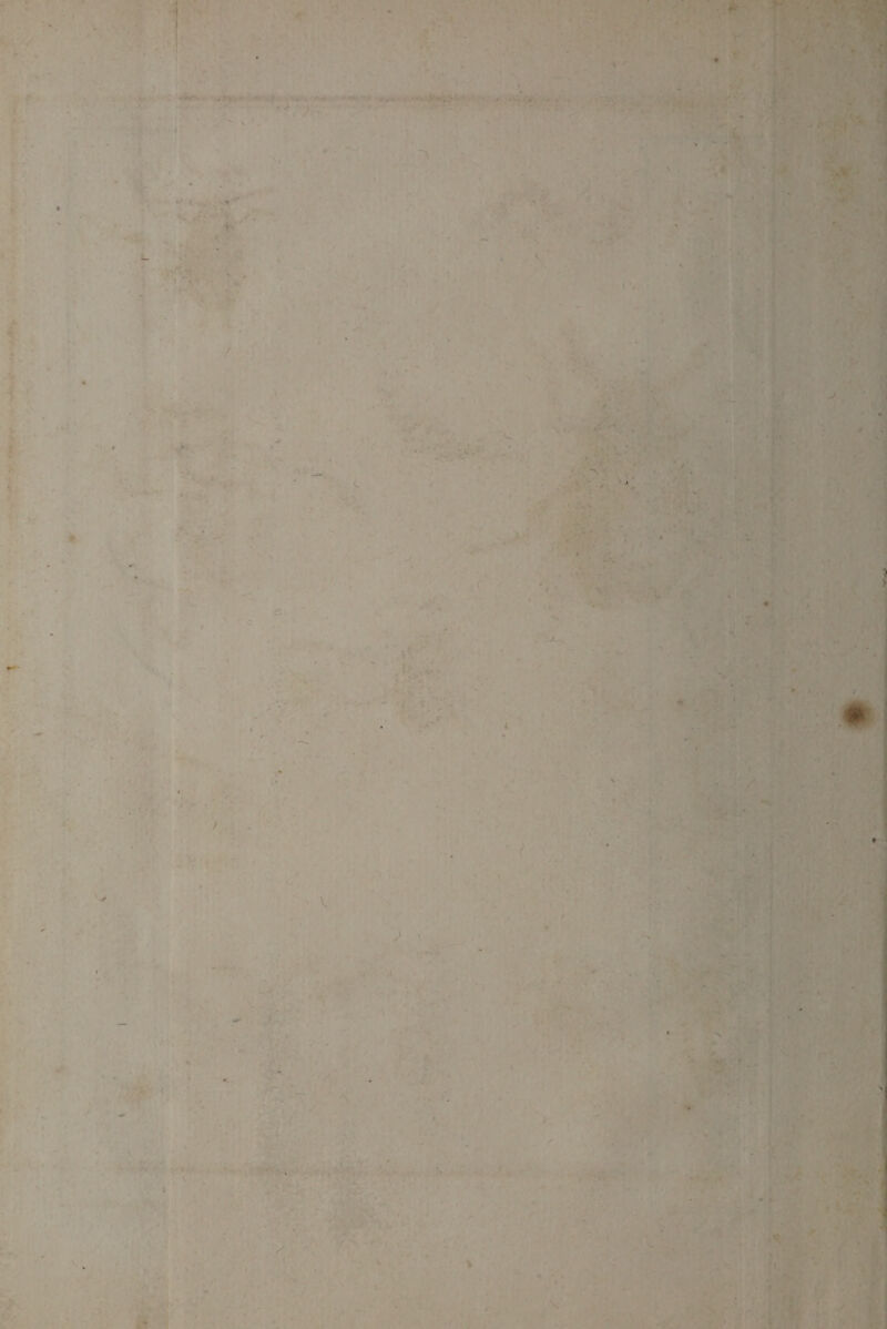 * • ‘ • : ; •••'.•»• T|] ' ' , • . ; • • : • : - » * * . - ; • - . ' . ■4-.Ï •* ■ . • . . % ‘ ■ ■ ’ sk 1 m » * » 4 i ' •, t* ' * ■ . ,i _ ■ . . *