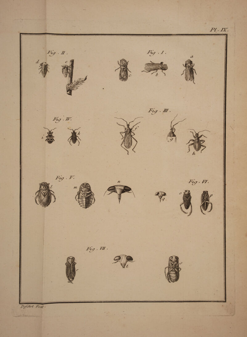 pi. zr. J)efeArf fie crt • I -A