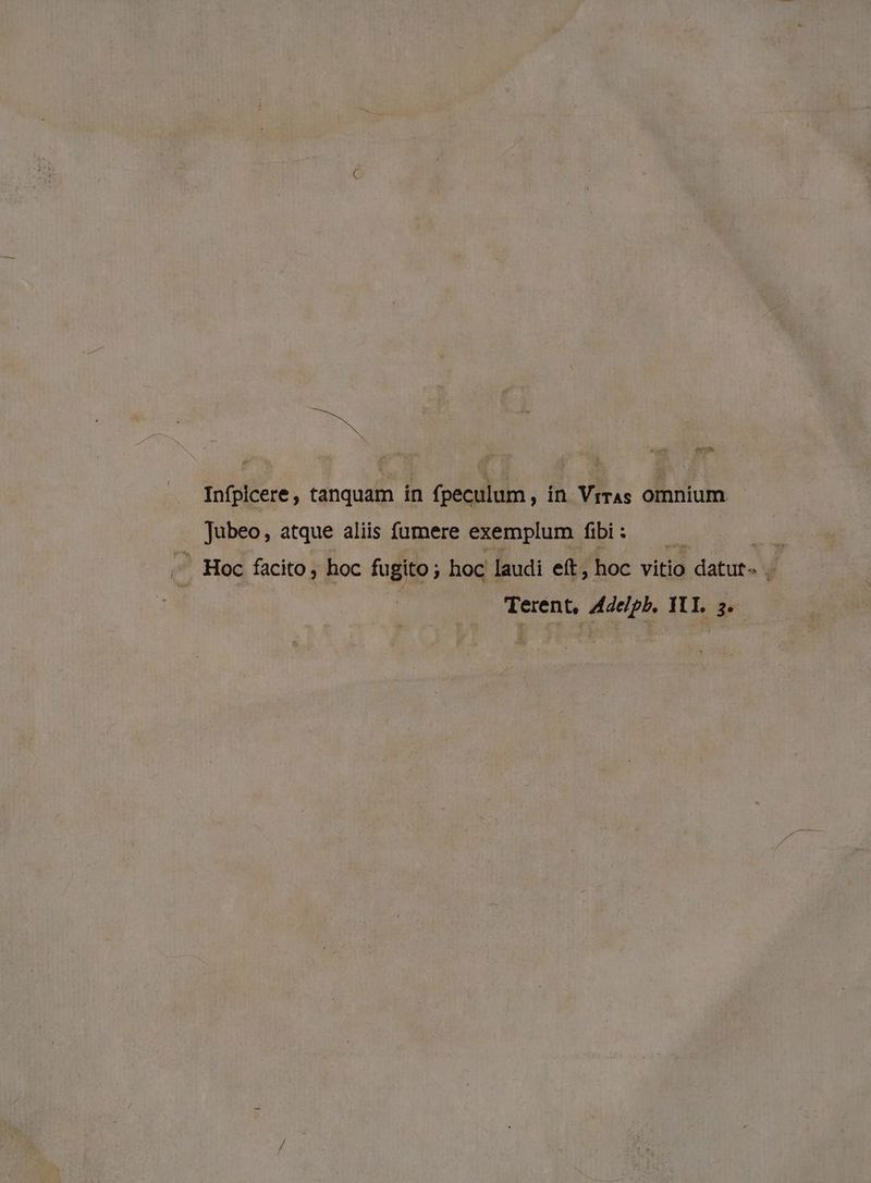UIS Infpicere , tanquam in fpeculum, in ViTAS omnium Jubeo, atque aliis fumere exemplum fibi: — * A Hoc facito hoc fugito ; hoc laudi eft, hoc vitid datute í
