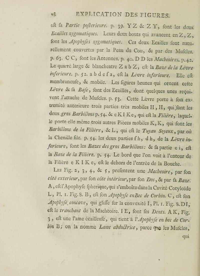 eil fa Partie pojlerieure. p. 39. Y Z & 2 Y, font les deux Ecailles zygomatiques. Leurs deux bouts qui avancent en Z, Z, font les Apophyfes zygomatiques. Ces deux Ecailles font natu¬ rellement couvertes par la Peau du Cou, & par des Mufcles. p. 63. C C, font les Antennes, p. 4.0. D D les Macheoires* p.4.2. Le quarré large & blancheatre Z a b Z, eft la Baze delà Lèvre inferieure, p. 52. abdefa, eft la Lèvre inferieure. Elle effc membraneufe, 6e mobile. Les figures brunes qui ornent cette Levre & fa Bafe, font des Ecailles, dont quelques unes reçoi¬ vent 1 attache de Mufcles. p. 5*3. Cette Lèvre porte à Ion ex¬ trémité anterieure trois parties très mobiles H, H, qui [font les deux gros Barbillons p. $4.. àeKIKe, qui eft la Filière, laquel¬ le porte elle même trois autres Pièces mobiles K, K, qui font les Barbillons de la Filière, & L, qui eft le Tuyau Soyeux, par où la Chenille file. p. 5:4. les deux parties fh, d h, de la Lèvre in¬ ferieure, font les Bazes des gros Barbillons: & fa partie e i, eft la Baze de la Filière, p. 5*4. Le bord que l’on voit à Pentour de la Filière e K I K e, eft le dehors de l’entrée de la Bouche. Les Fig. 2, 3, 4, & $, prelentent une Macheoire, par Ion côté extérieur, par fon côte intérieur,par fon Dos, & par fa Baze: A, eft l’Apophyfe fpherique,qui s’emboîte dans la Cavité Cotyloïde L, PI. 1. Fig.8. B, eft fon Apophyfe enBec de Corbin. C, eft fon Apophyfe\ concave, qui glifte fur la convexité I, PJ. 1. Fig. 8.DI, eft le tranchant de la Macheoire. I E, font fes Dents. A K, Fig. 3 , eft une l’ame écailleufe, qui tient à V Apophyfe en bec de Cor¬ bin B; on la nomme Lame abduttrice, parce que les Mufcles,