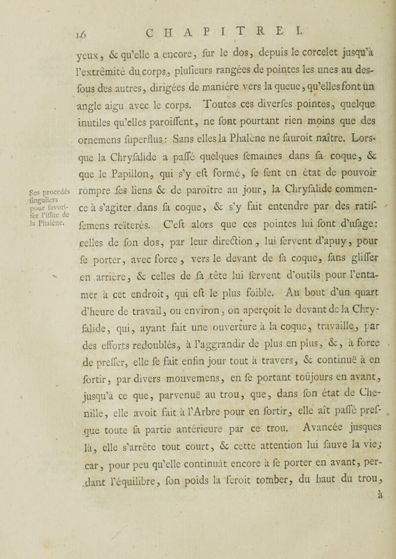 Ses procédés finguliers pour favori- fer l’ilTue de la Phalène. yeux, & qu'elle a encore, fur le dos, depuis le corcelet jusqu'à l'extrémité du corps, plufieurs rangées de pointes les unes au des¬ fous des autres, dirigées de manière vers la queue, qu'elles font un » angle aigu avec le corps. Toutes ces diverfes pointes., quelque inutiles qu’elles paroiffent, ne font pourtant rien moins que des ornemens fuperflus: Sans elles la Phalène ne fauroit naître. Lors¬ que la Chryfalide a paffé quelques femaines dans fa coque, & que le Papillon, qui s'y eft formé, fe fent en état de pouvoir rompre fes liens & de paraître au jour, la Chryfalide commen¬ ce à s’agiter, dans fa coque, & s’y fait entendre par des ratif- femens reïterés. C’eft alors que ces pointes lui font d’ufage: celles de fon dos, par leur direétion , lui fervent d’apuy, pour fe porter, avec force , vers le devant de fi coque, fans glilfer en arrière, & celles de fa .tête lui fervent d’outils pour l’enta¬ mer à cet endroit, qui eft le plus foible. Au bout d’un quart d’heure de travail, ou environ, on aperçoit le devant de la Chry- falide, qui, ayant fait une ouverture à la coque, travaille, par des efforts redoublés, à l’aggrandir de plus en plus, &, à force de preffer, elle fe fait enfin jour tout à travers, & continué à en fortir, par divers mouvemens, en fe portant toûjours en avant, jusqu’à ce que, parvenue au trou, que, dans fon état de Che¬ nille, elle avoit fait à l’Arbre pour en fortir, elle aît paffé pref- que toute fa partie antérieure par ce trou. Avancée jusques là, elle s’arrête tout court, <Se cette attention lui fauve la vie; car, pour peu qu'elle continuât encore à fe porter en avant, per- ,dan.t l’équilibre, fon poids la ferait tomber, du haut du trou.